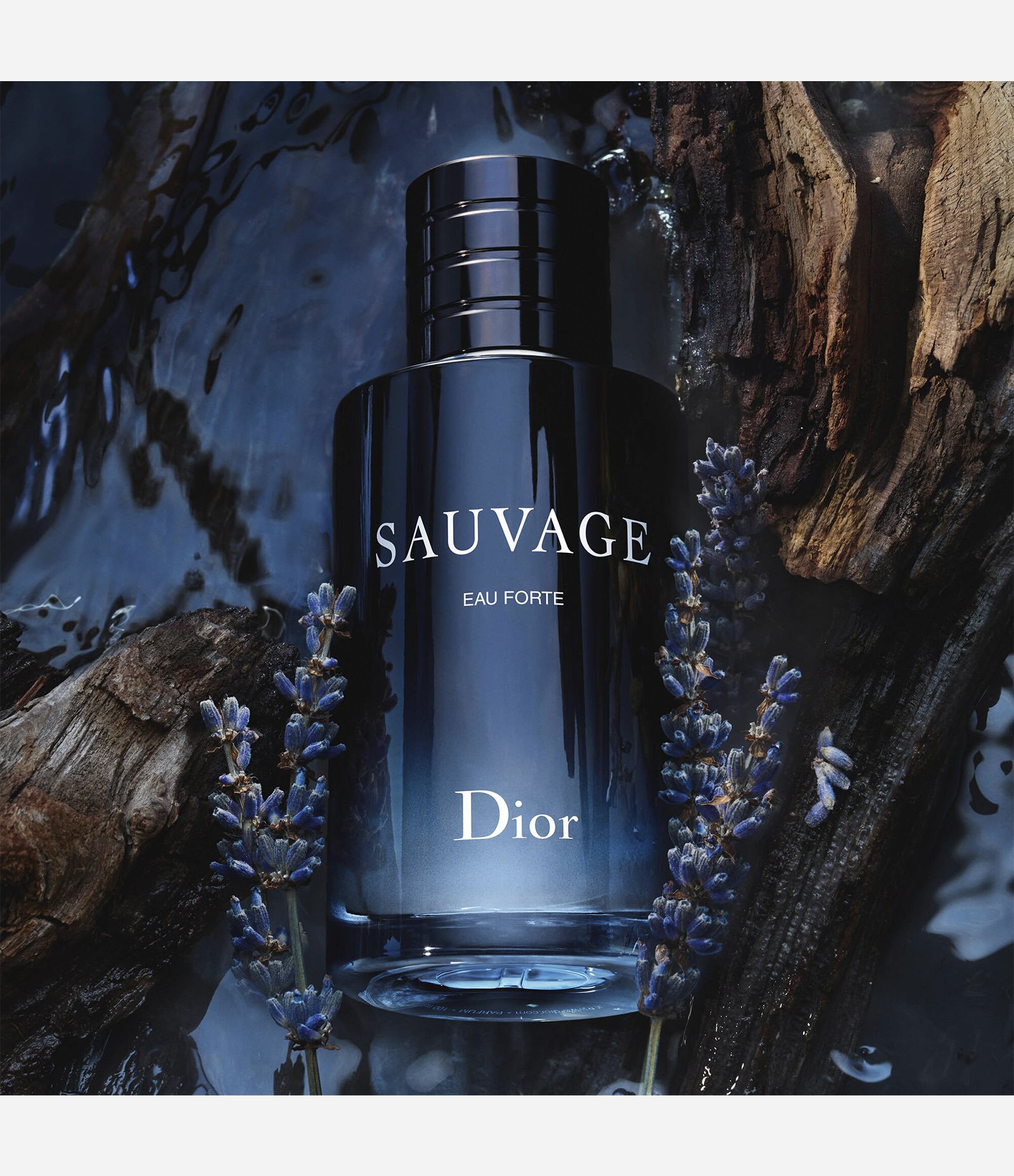 Perfume Dior Sauvage Eau Forte Parfum Masculino 60ml 4