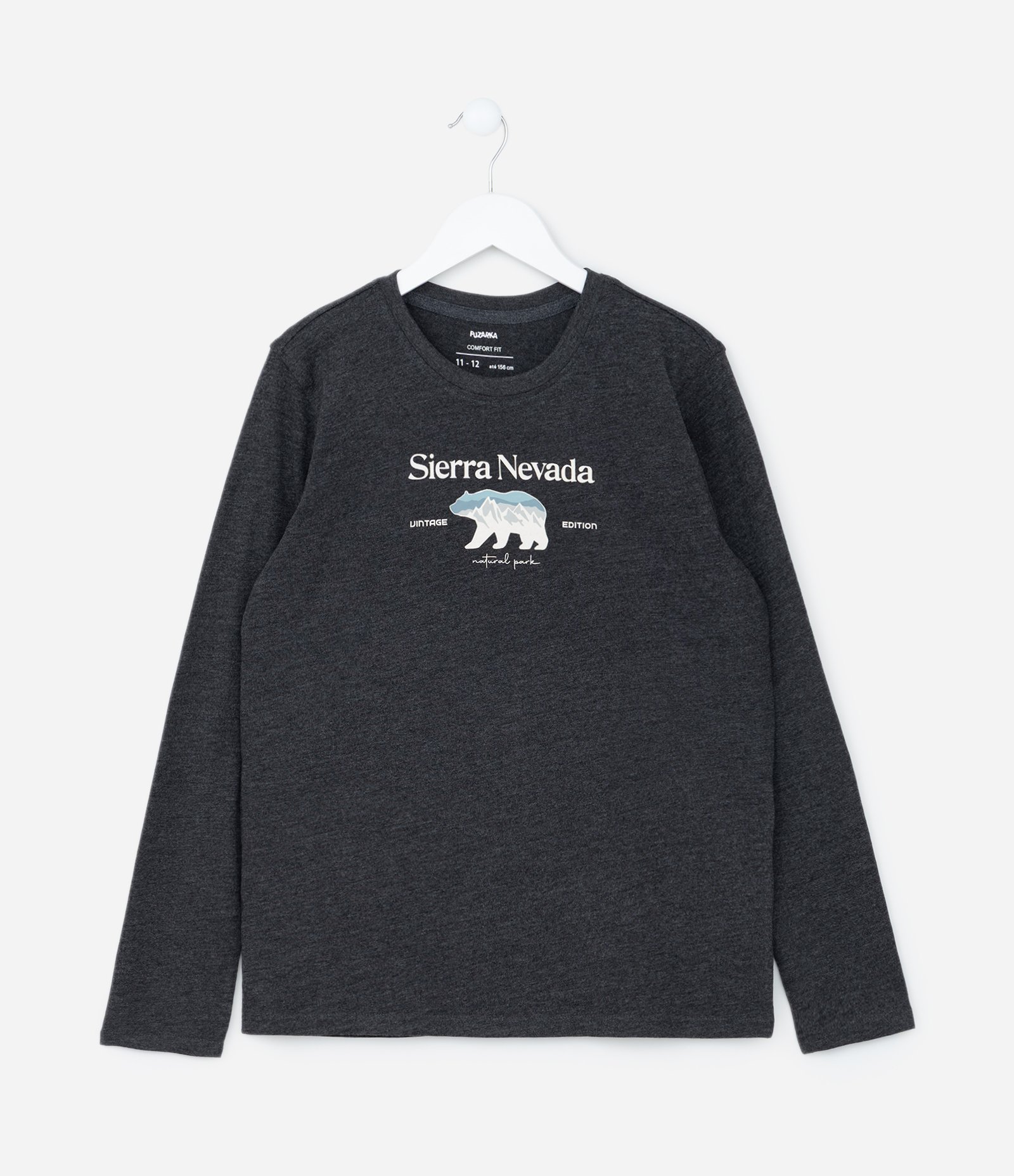 Camiseta Infantil com Estampa Lettering Sierra Nevada - Tam 5 a 14 Anos Cinza 1