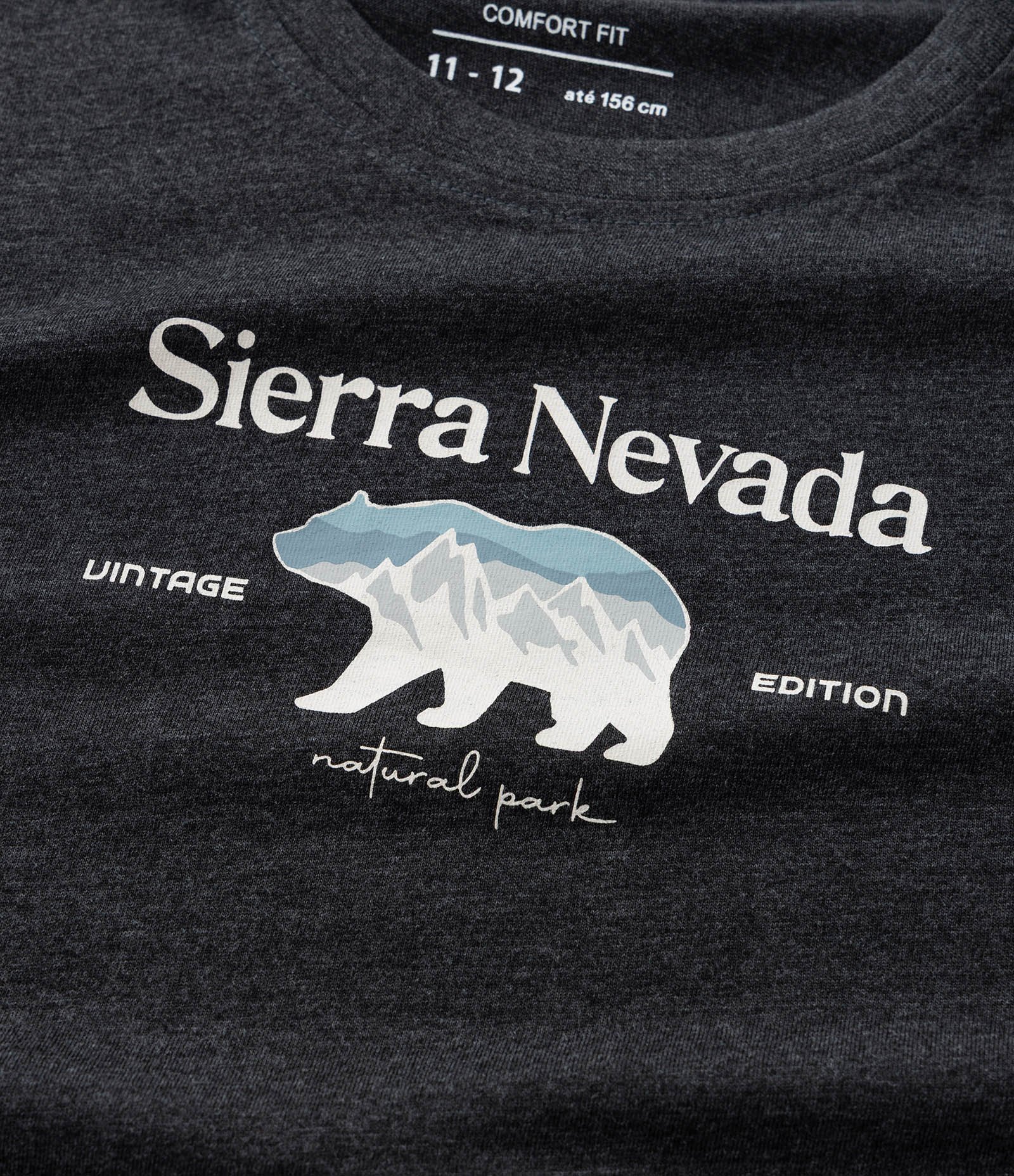 Camiseta Infantil com Estampa Lettering Sierra Nevada - Tam 5 a 14 Anos Cinza 4
