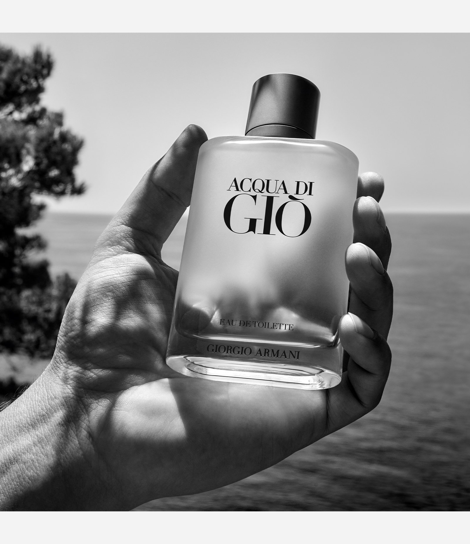 Perfume Giorgio Armani Acqua di Gio Homme Eau de Toilette Masculino 100ml 2
