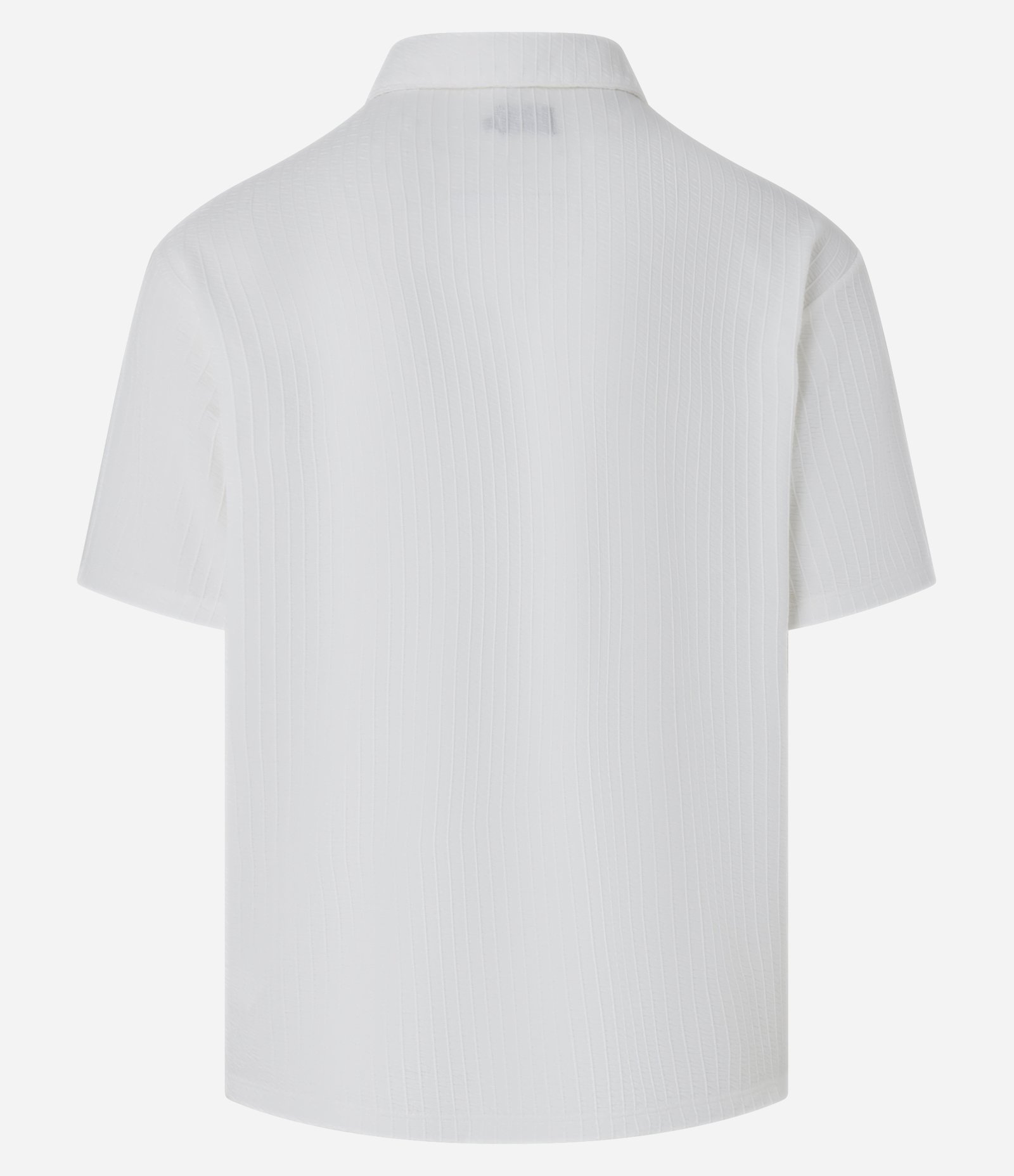Camisa Polo Regular com Vista Oculta e Textura Branco 6