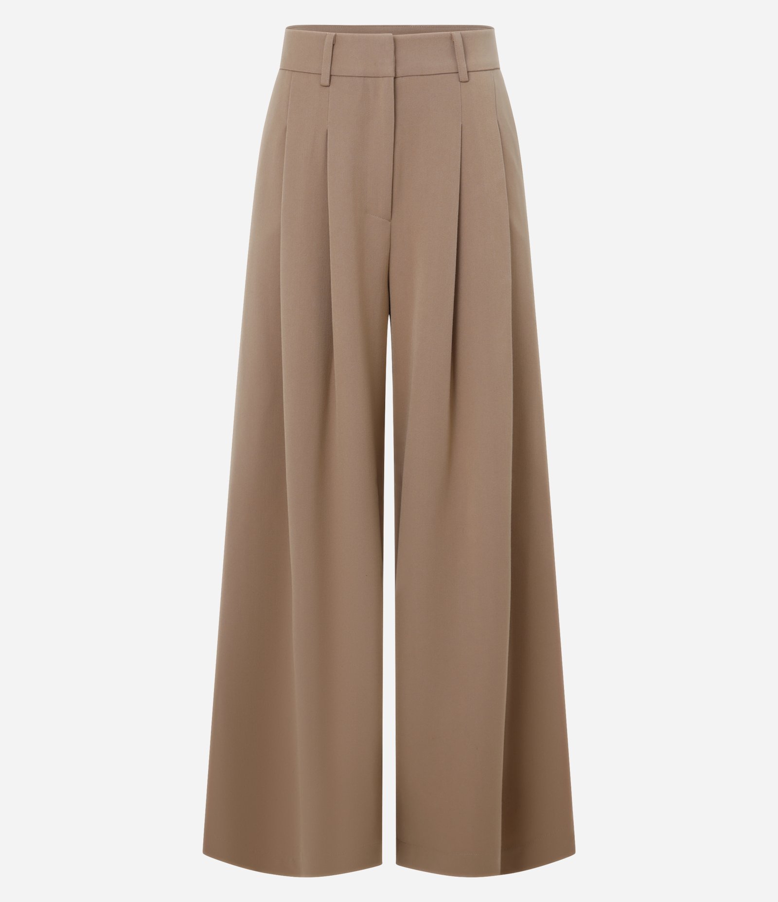 Calça Pantalona em Alfaiataria com Pregas Marrom 6