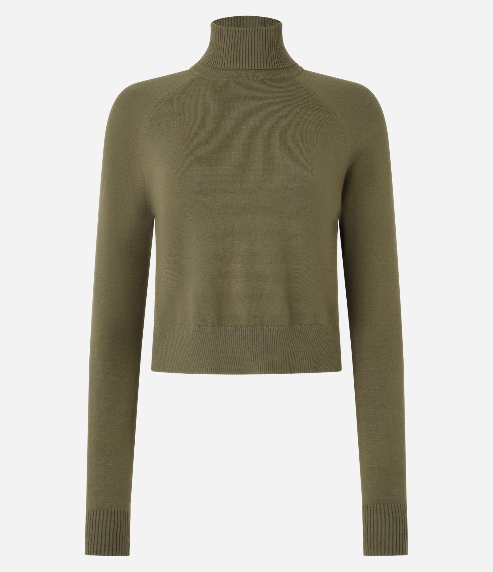 Blusa em Tricô com Gola Alta e Manga Longa Verde 4