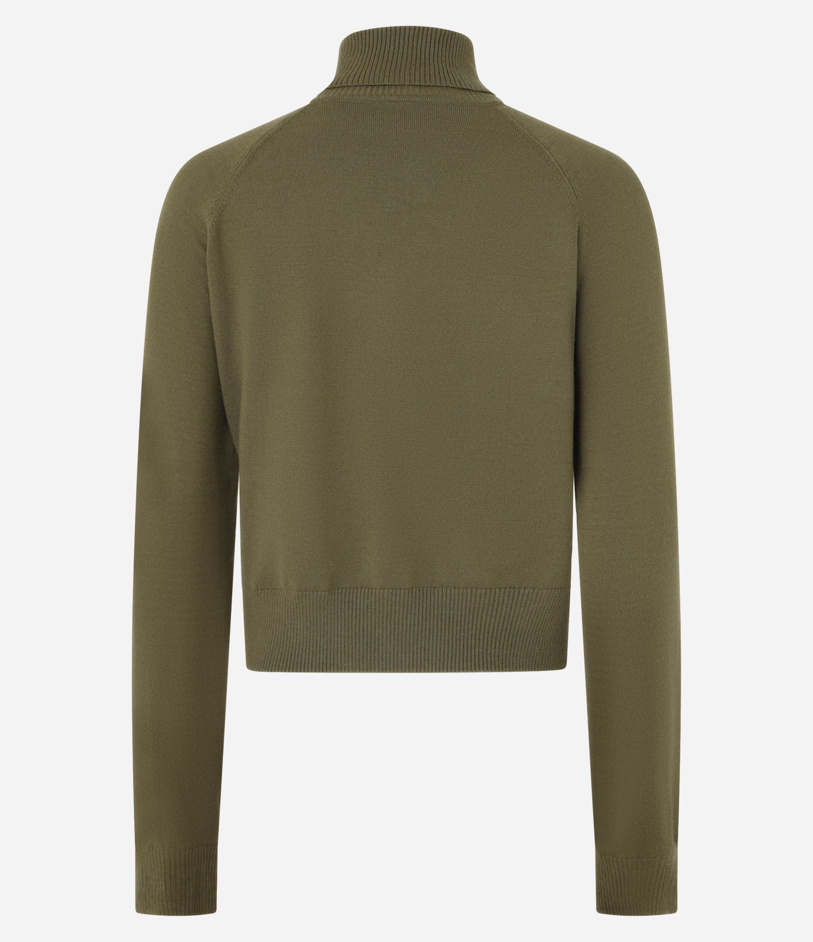 Blusa em Tricô com Gola Alta e Manga Longa Verde 6