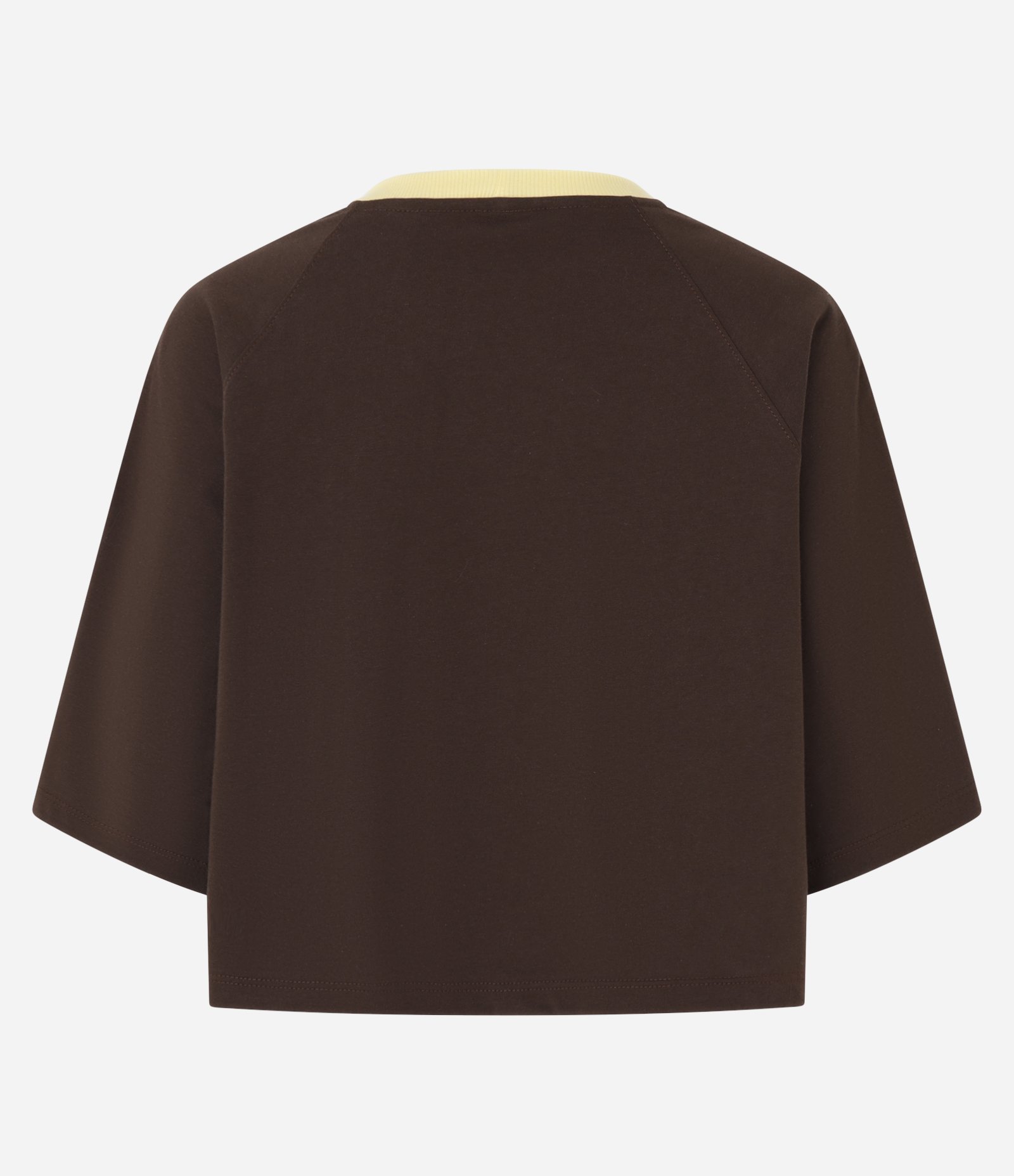 Blusa T-shirt com Detalhe Contrastante e Estampa Saint Louis Marrom 2