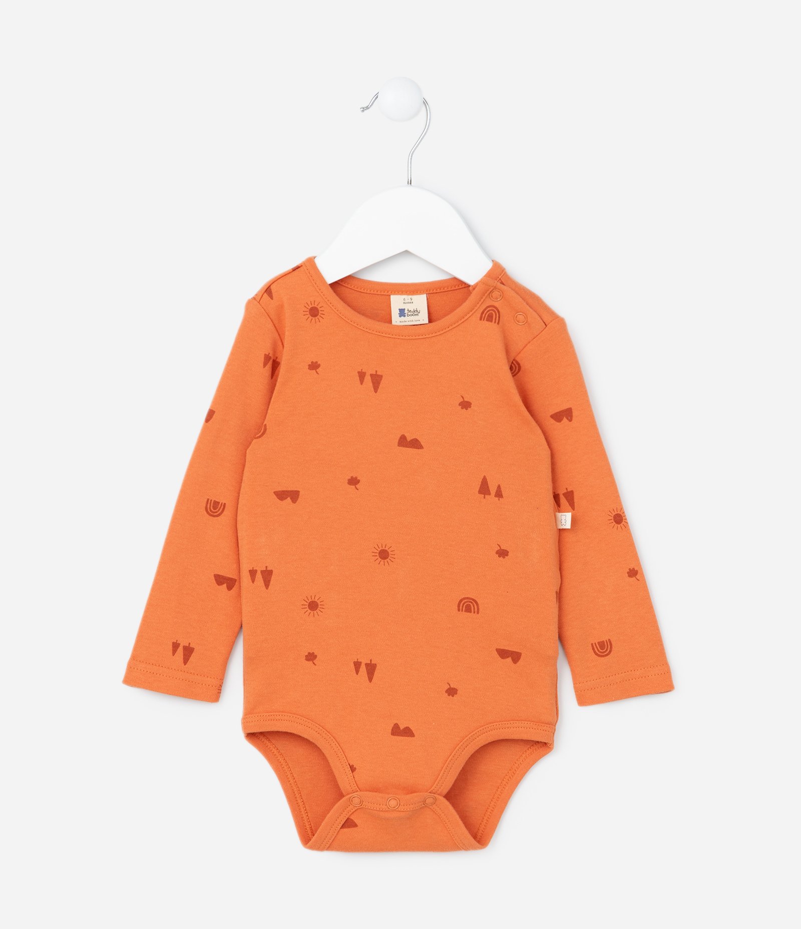 Conjunto Infantil em Veludo com Estampa Carinha de Bichinho - Tam 0 a 18 meses Marrom/Laranja 3