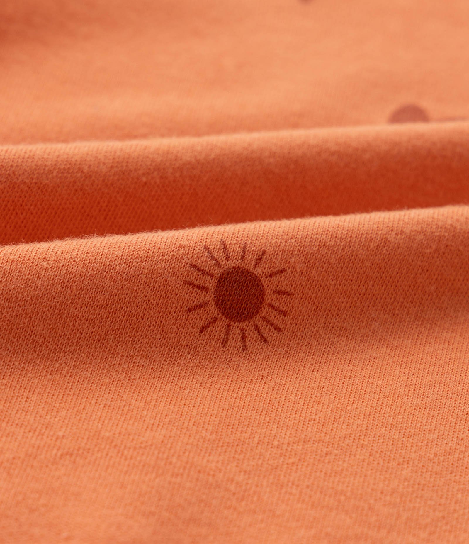 Conjunto Infantil em Veludo com Estampa Carinha de Bichinho - Tam 0 a 18 meses Marrom/Laranja 6