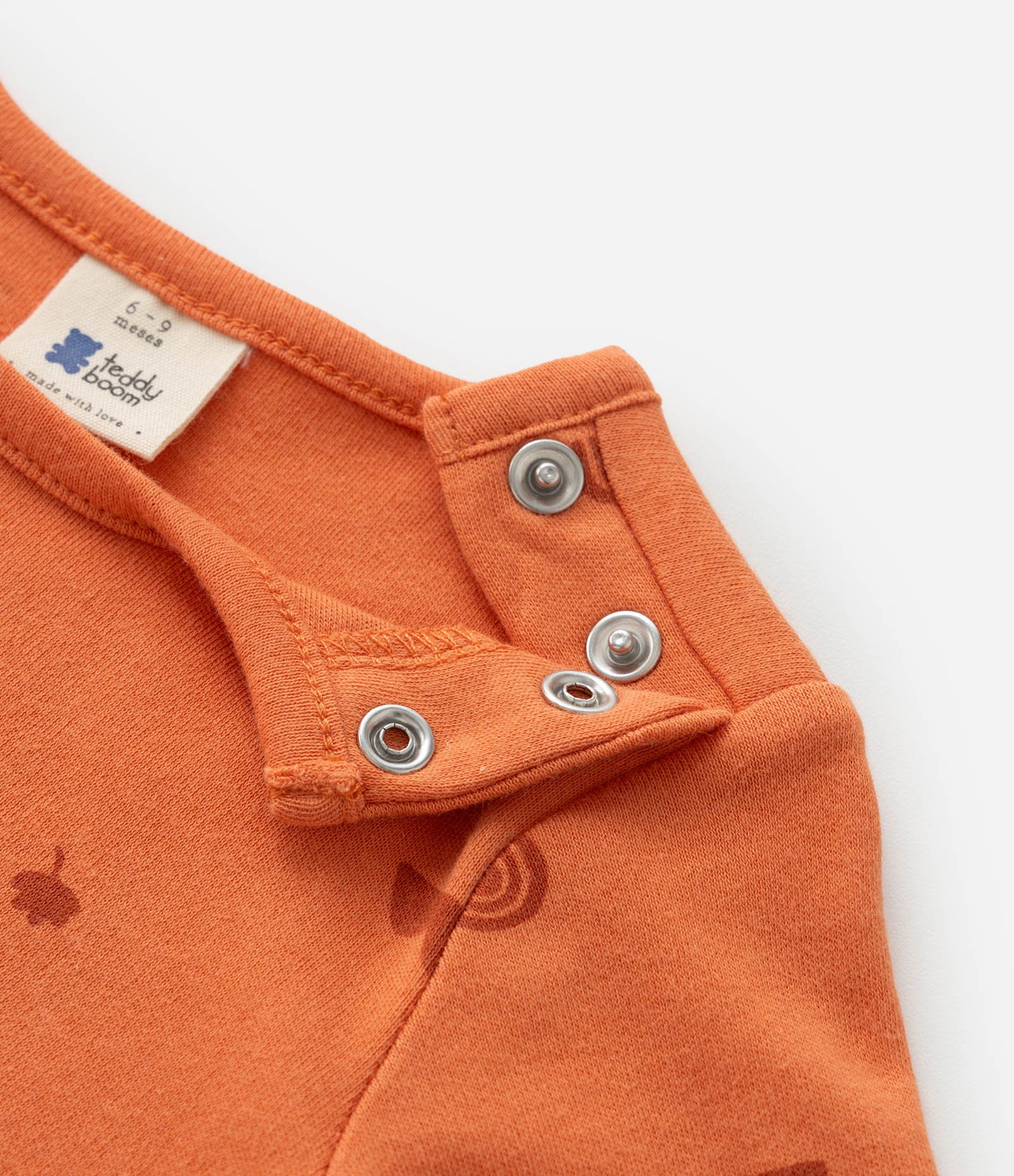 Conjunto Infantil em Veludo com Estampa Carinha de Bichinho - Tam 0 a 18 meses Marrom/Laranja 8