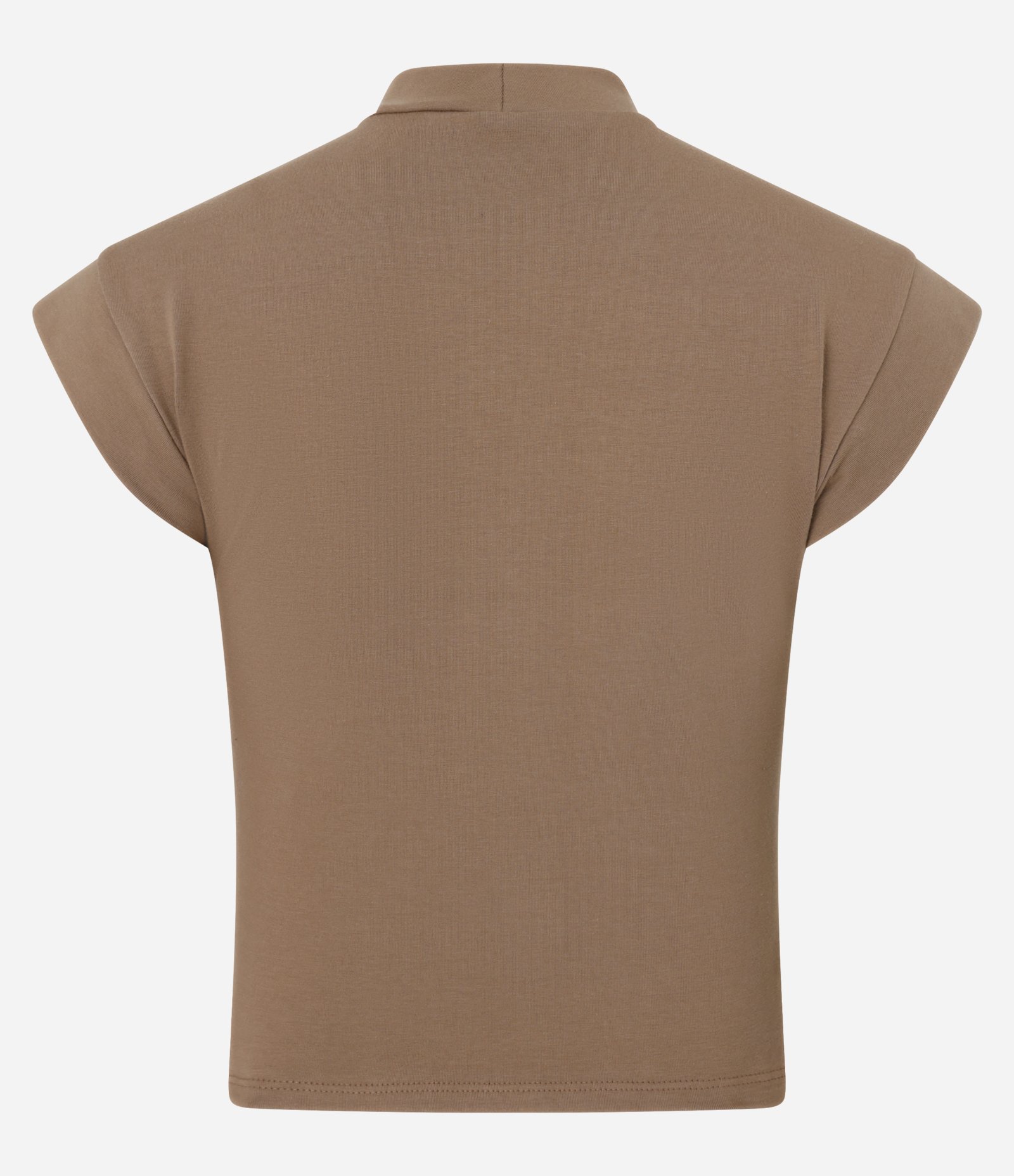 Blusa Sem Manga em Algodão e Elastano com Gola Alta Marrom 5