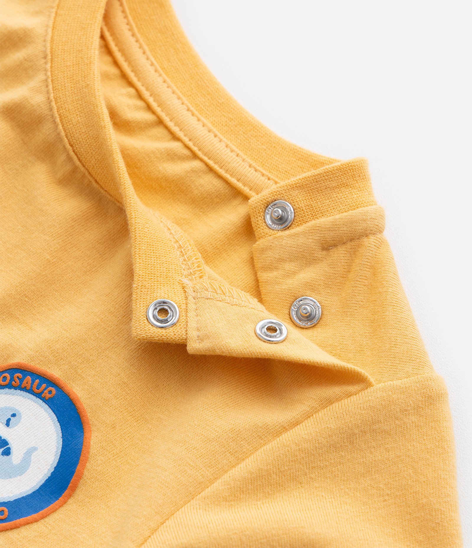 Conjunto Infantil com Estampa Dinossauro - Tam 0 a 18 meses Amarelo/Azul 9