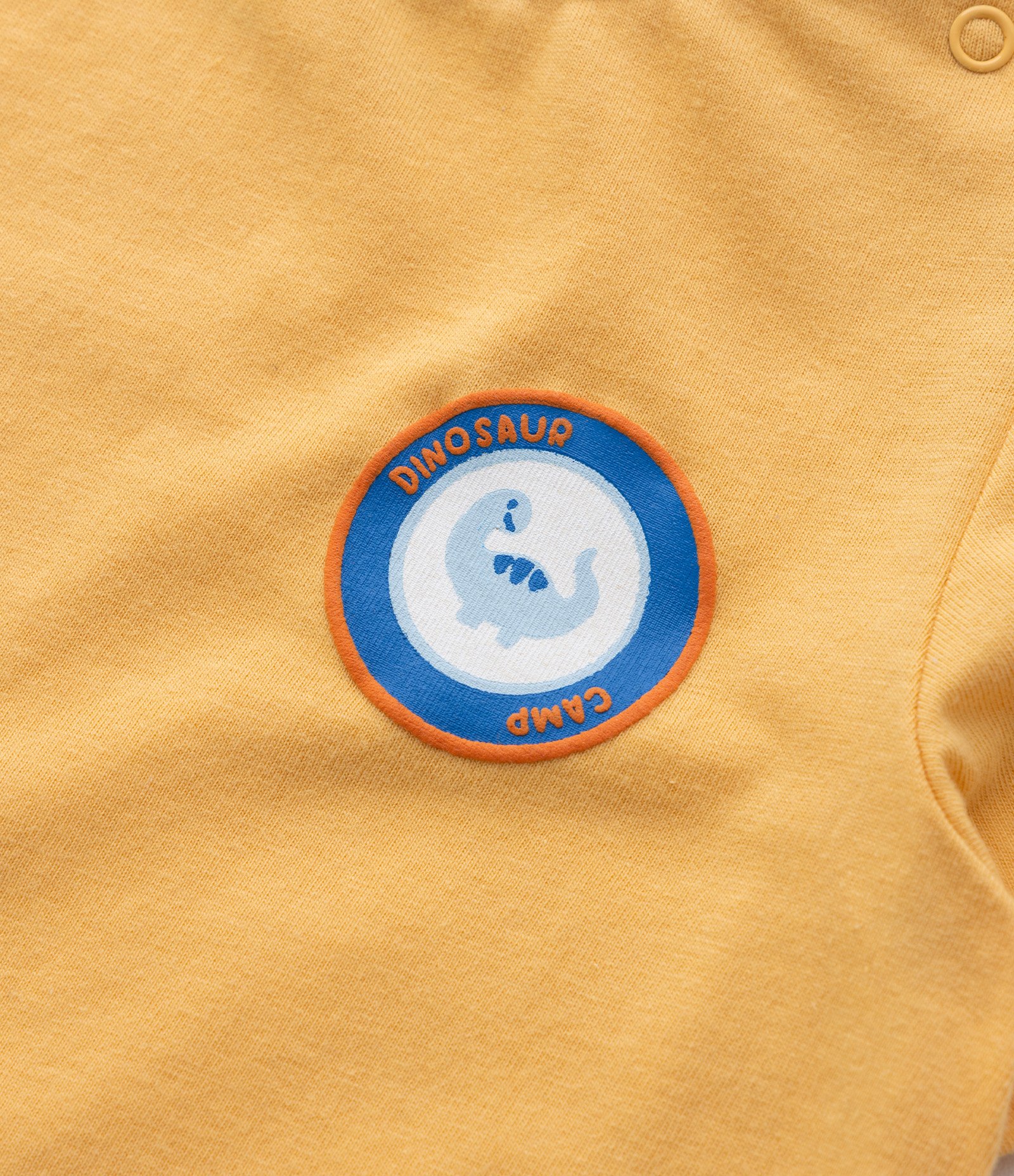 Conjunto Infantil com Estampa Dinossauro - Tam 0 a 18 meses Amarelo/Azul 10