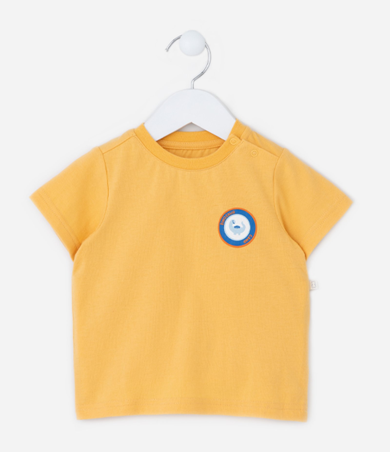 Conjunto Infantil com Estampa Dinossauro - Tam 0 a 18 meses Amarelo/Azul 2