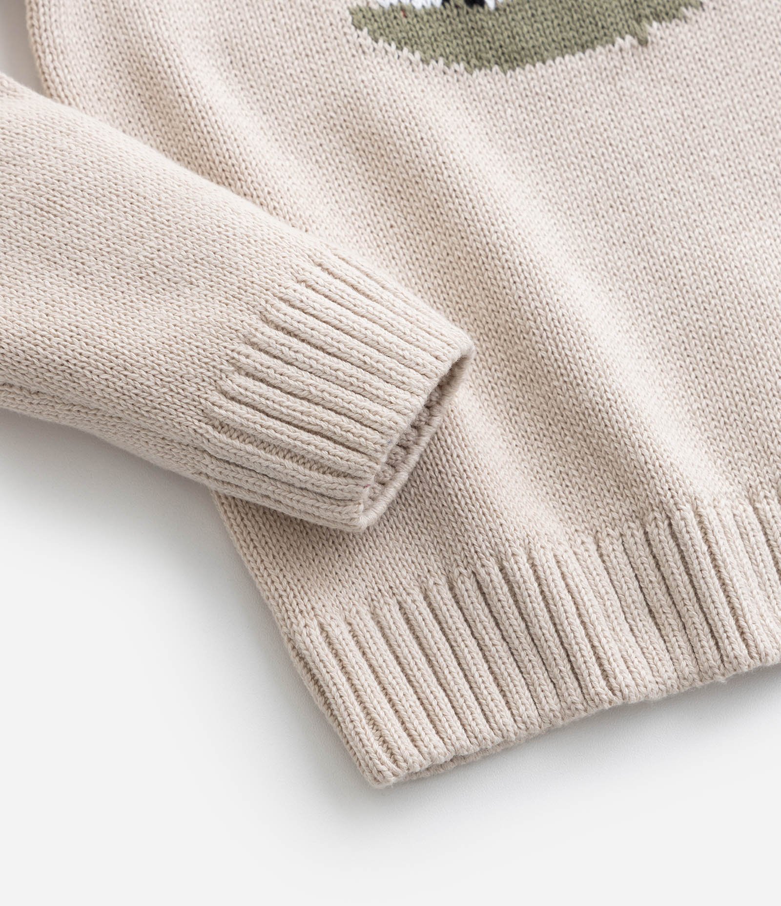 Suéter Infantil com Estampa Interativa de Dino - Tam 1 a 5 Anos Bege/Verde 4