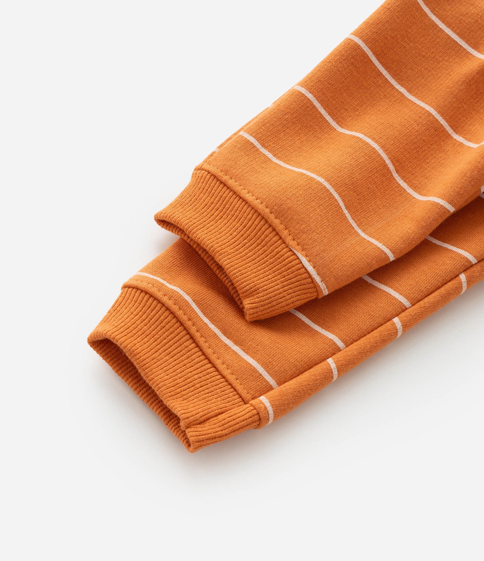 Conjunto Infantil com Estampa Dinos e Listras - Tam 0 a 18 meses Bege/Laranja 11