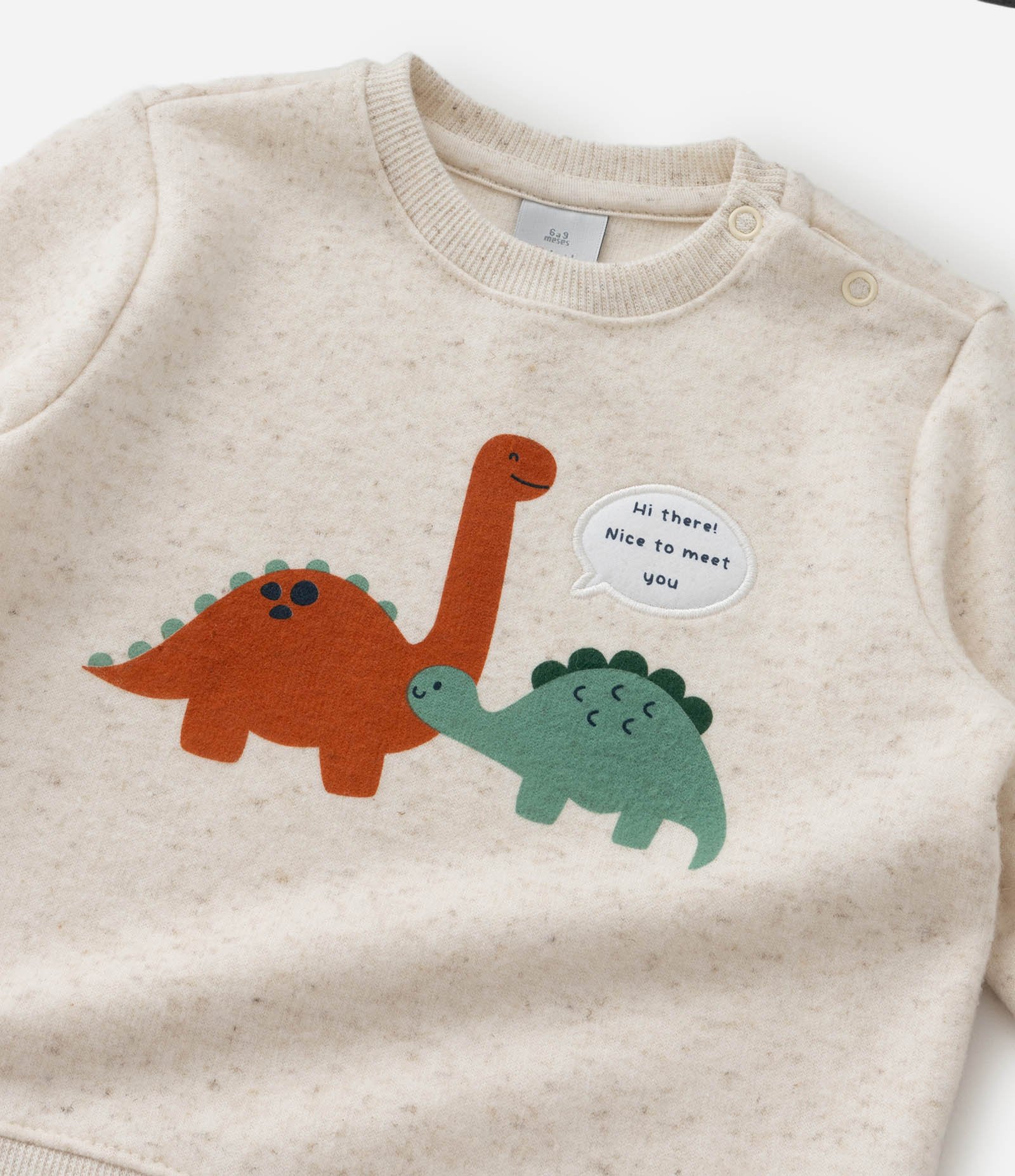 Conjunto Infantil com Estampa Dinos e Listras - Tam 0 a 18 meses Bege/Laranja 13