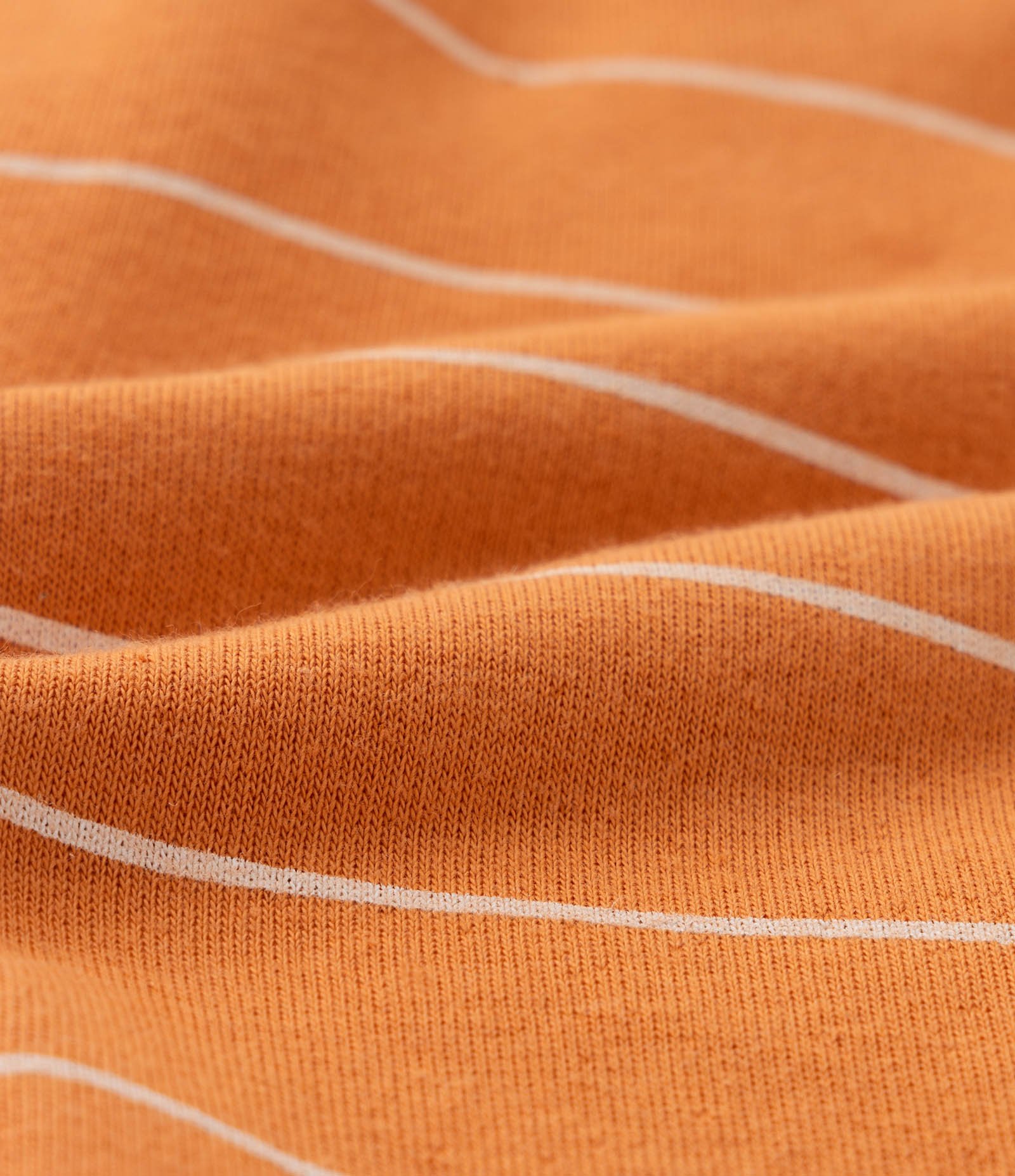 Conjunto Infantil com Estampa Dinos e Listras - Tam 0 a 18 meses Bege/Laranja 5