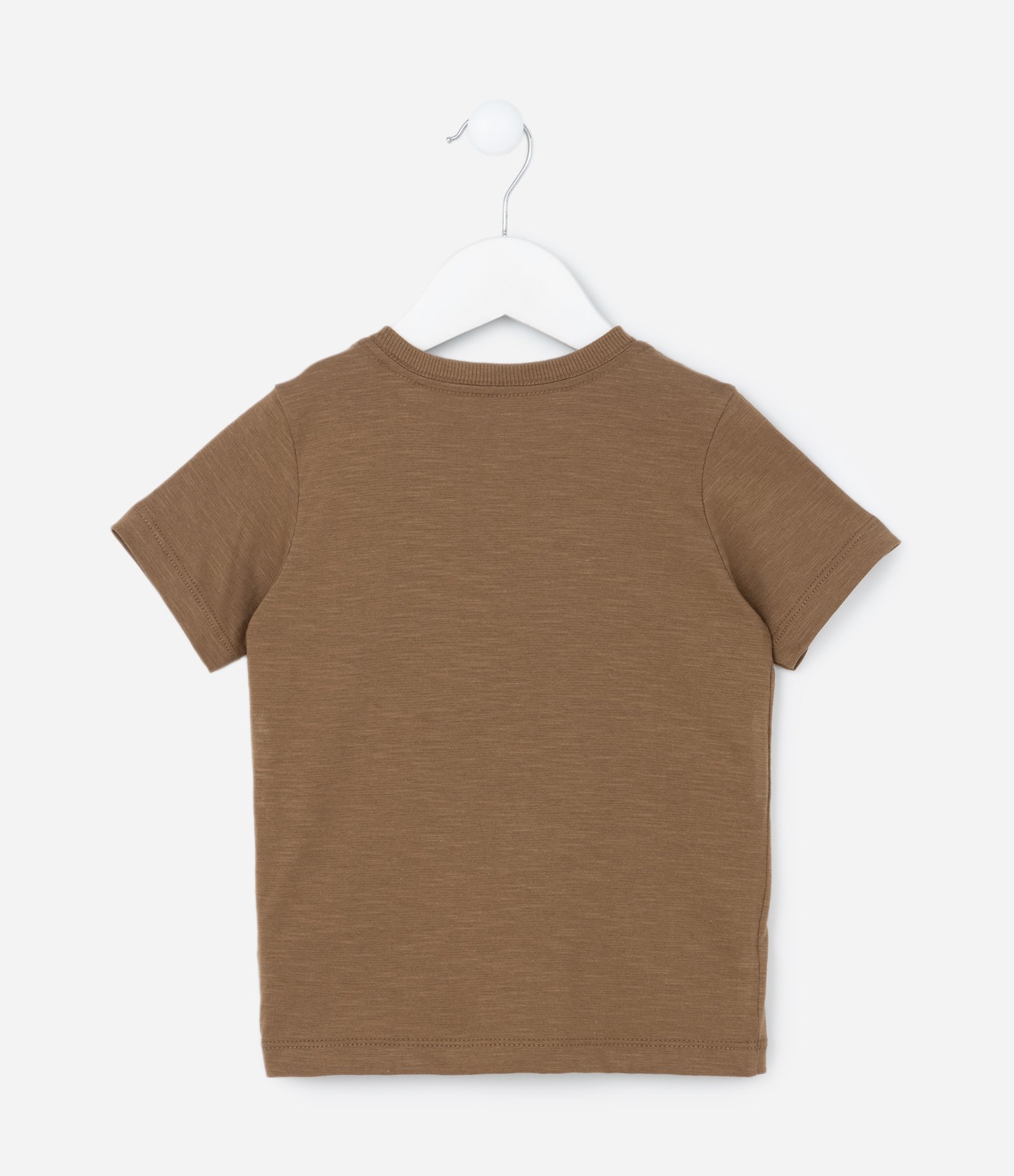 Camiseta Infantil com Estampa Bichinhos - Tam 1 a 6 Anos Marrom 2