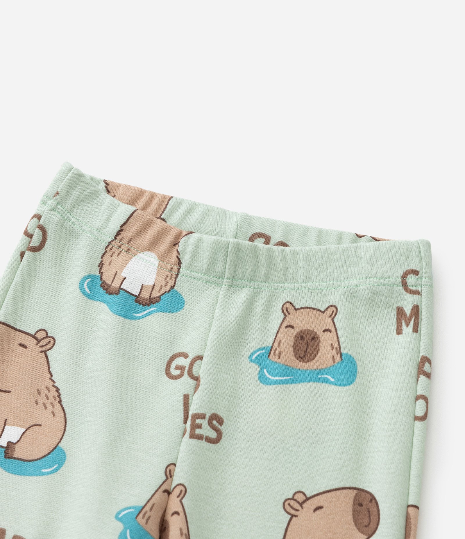 Pijama Infantil em Algodão com Estampa Capivarinhas - Tam 1 a 6 Anos Verde 6