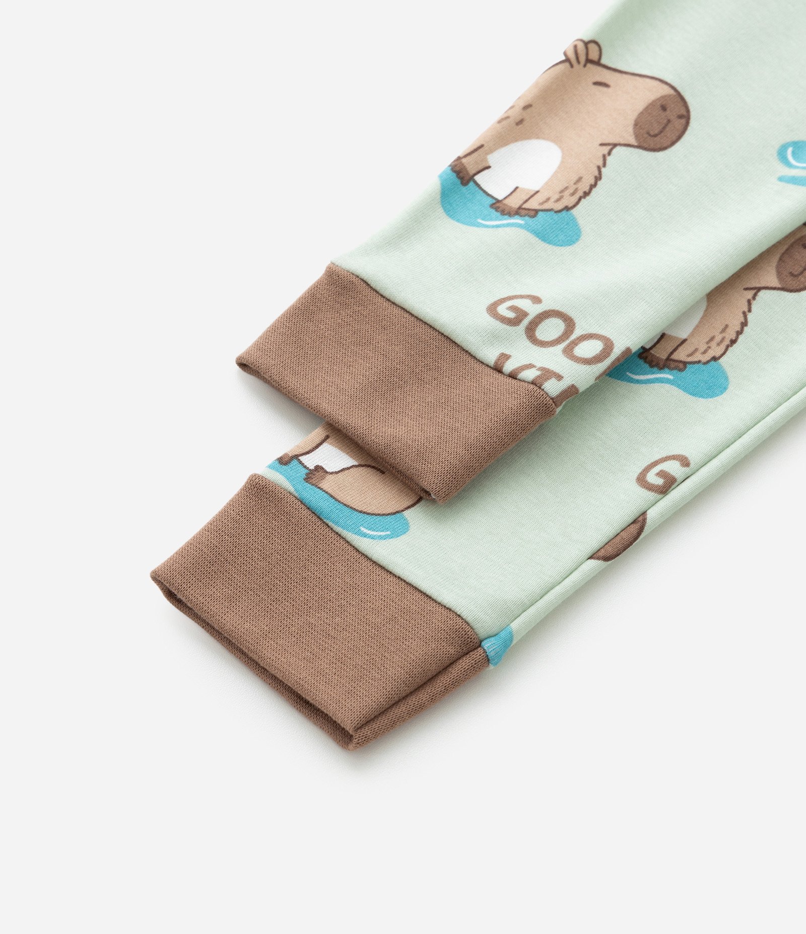 Pijama Infantil em Algodão com Estampa Capivarinhas - Tam 1 a 6 Anos Verde 7