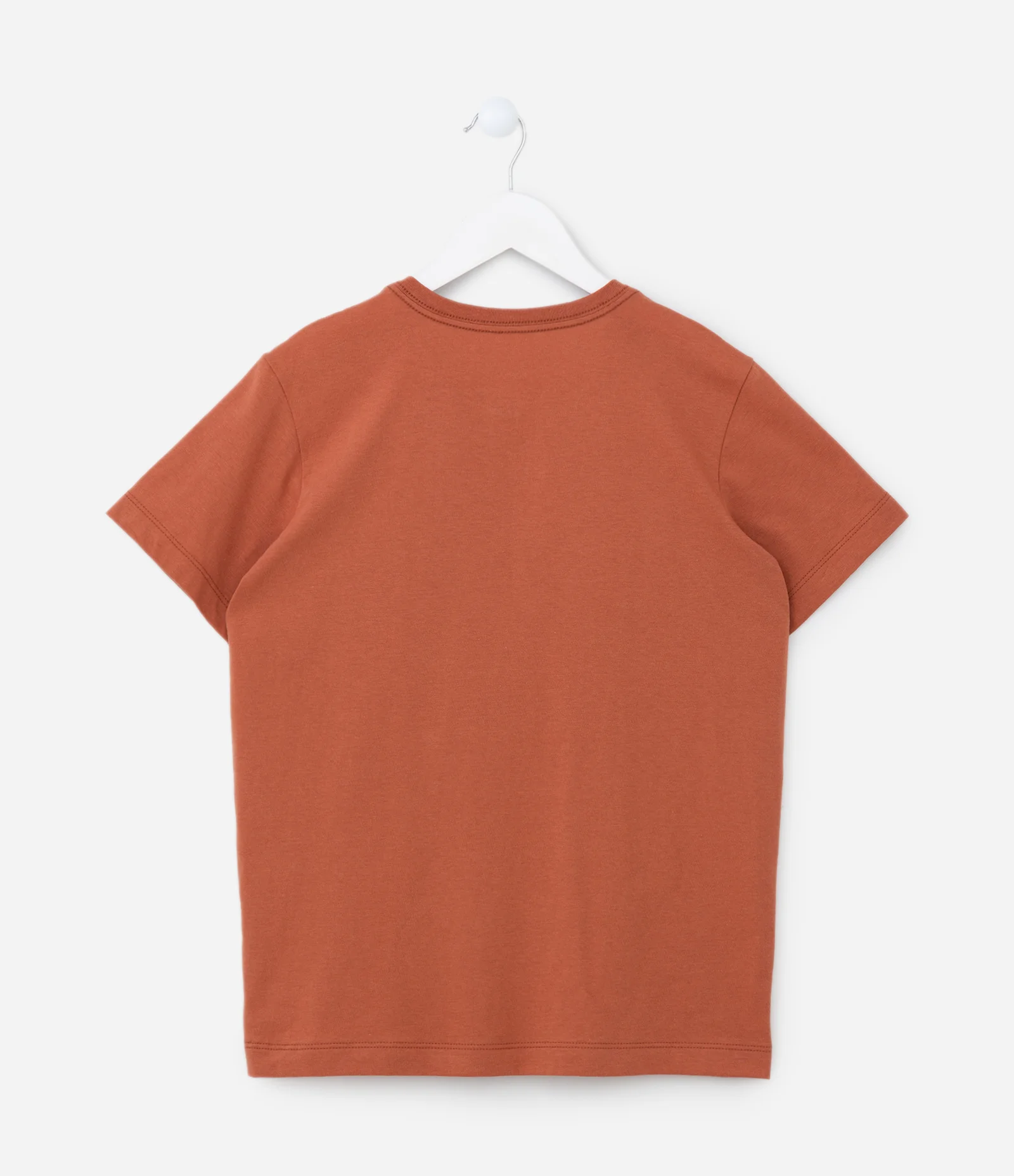 Camiseta Infantil com Lettering Mountain - Tam 5 a 14 Anos Marrom 2