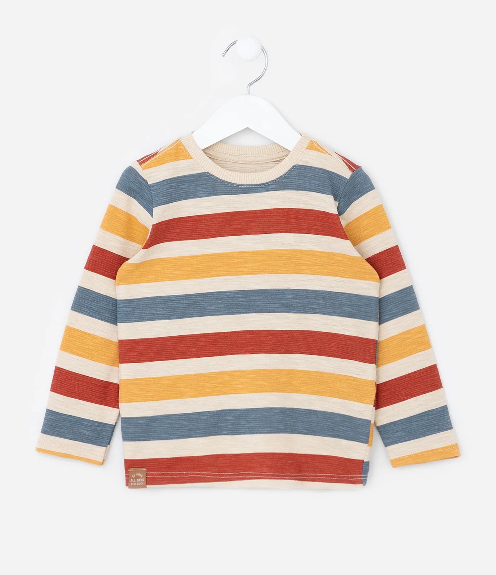 Camiseta Infantil com Estampa de Listras - Tam 1 a 6 Anos Multicores 1
