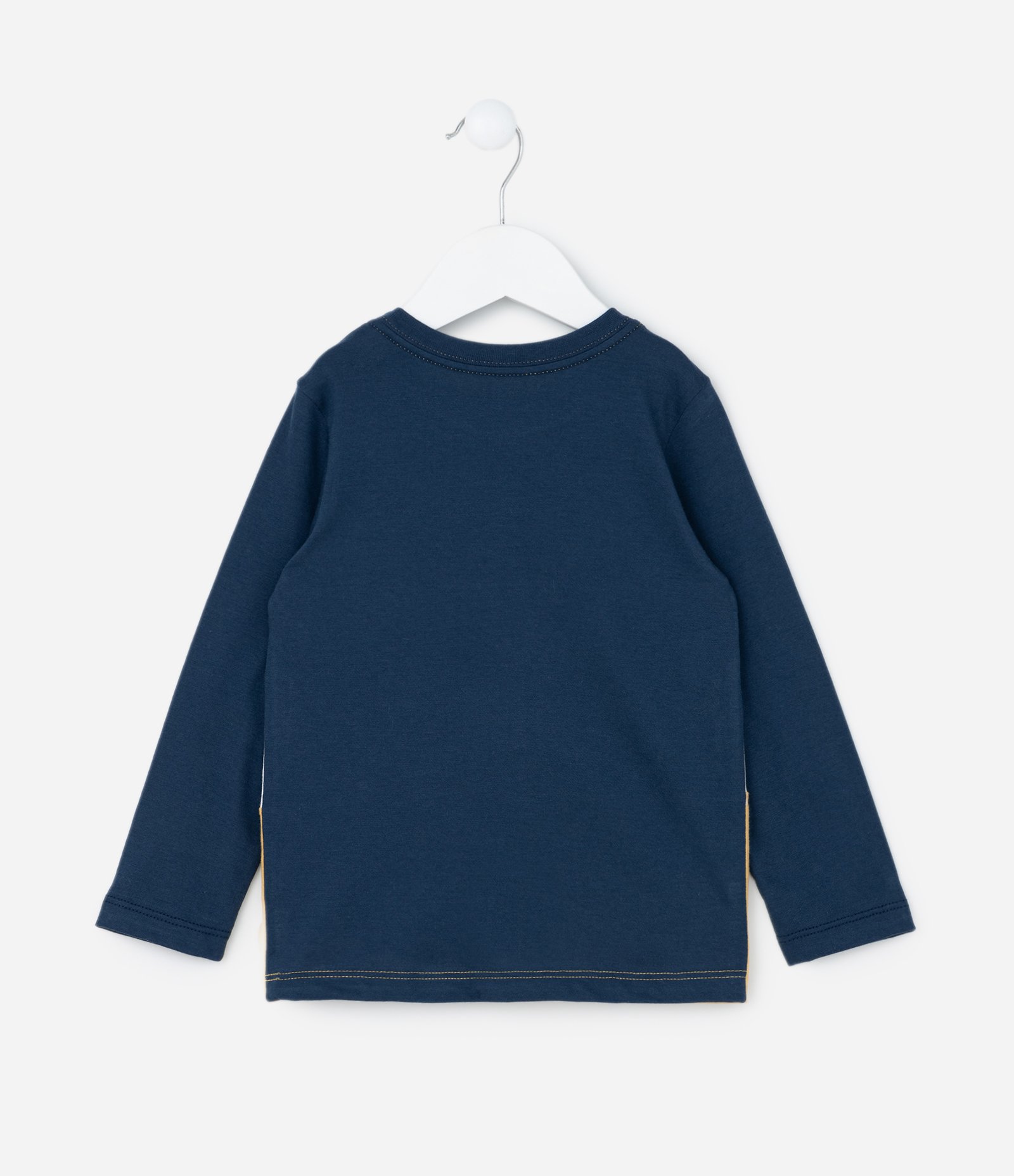 Camiseta Infantil com Estampa do Rei Leão - Tam 2 a 6 Anos Azul/Branco/Amarelo 2