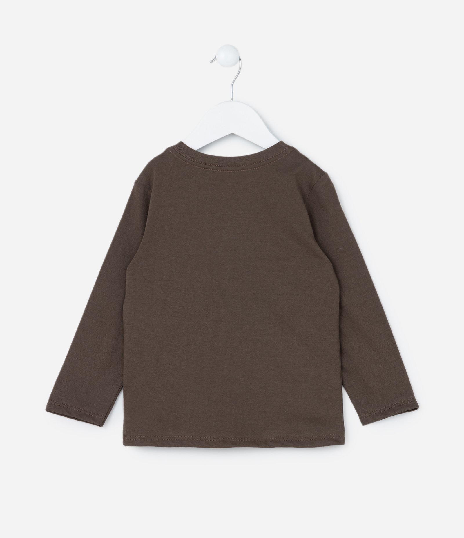 Camiseta Infantil com Estampa Capivara - Tam 1 a 6 Anos Marrom 2