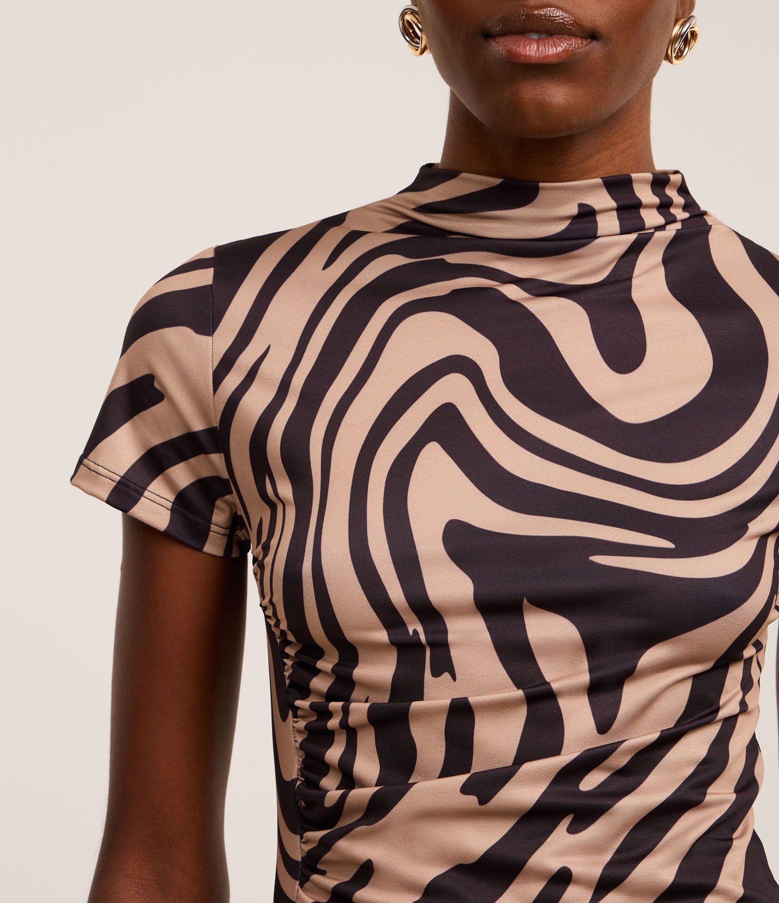 Blusa em Microfibra com Gola Alta e Estampa Zebra Marrom 3