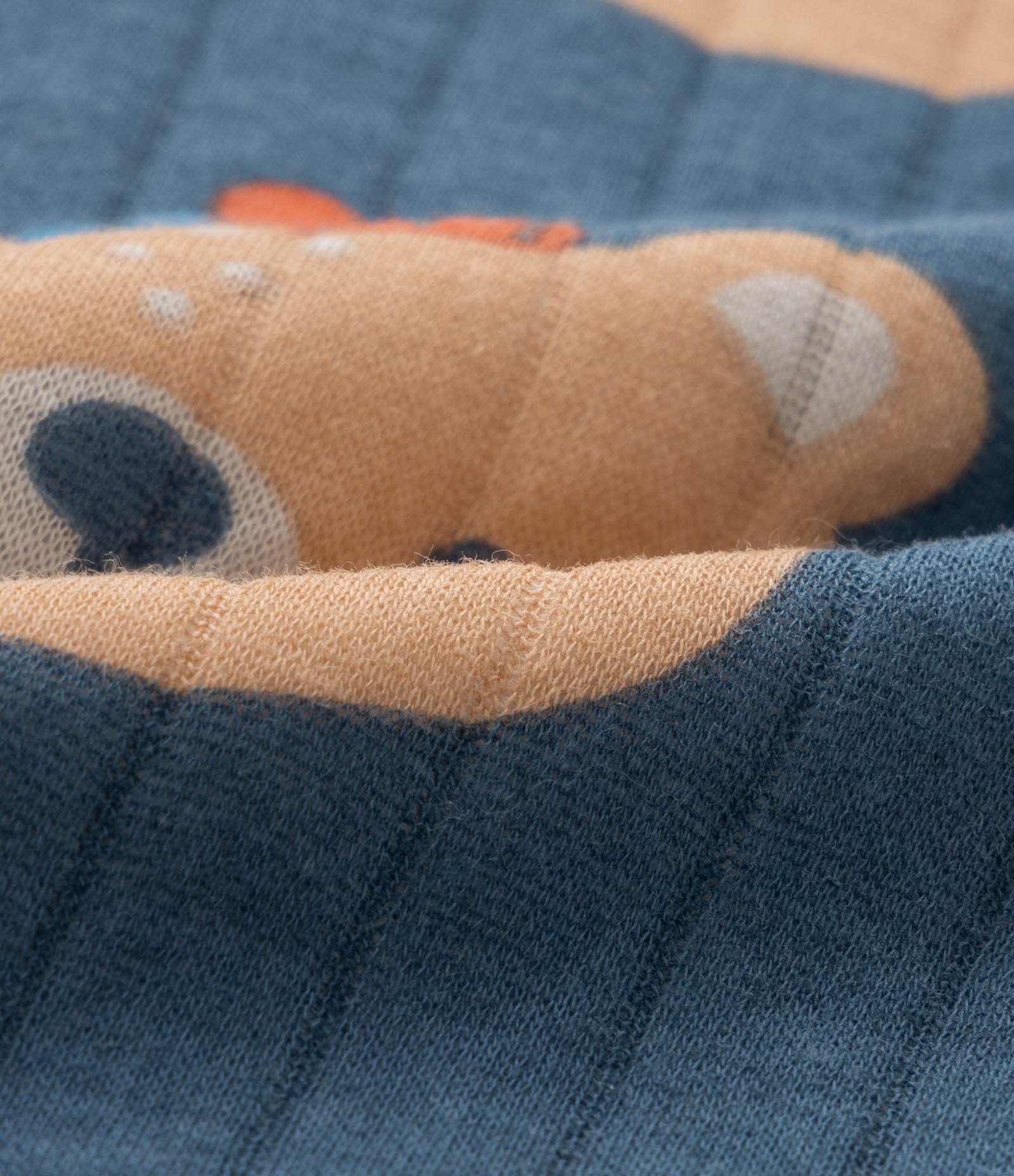 Conjunto Infantil em Matelasse Estampa Ursinhos - Tam 0 a 18 meses Azul 8