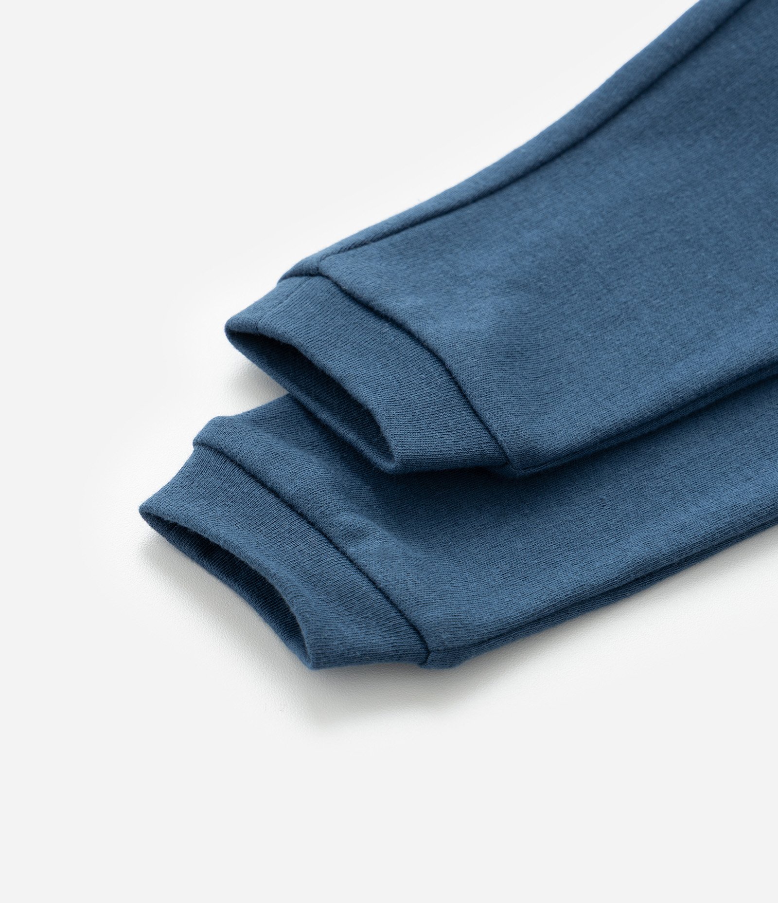 Conjunto Infantil em Suedine com Estampa Cachorrinho - Tam RN a 18 meses Azul 12