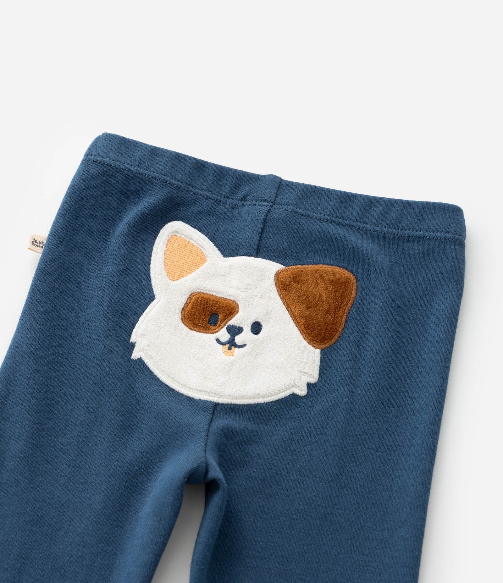 Conjunto Infantil em Suedine com Estampa Cachorrinho - Tam RN a 18 meses Azul 13