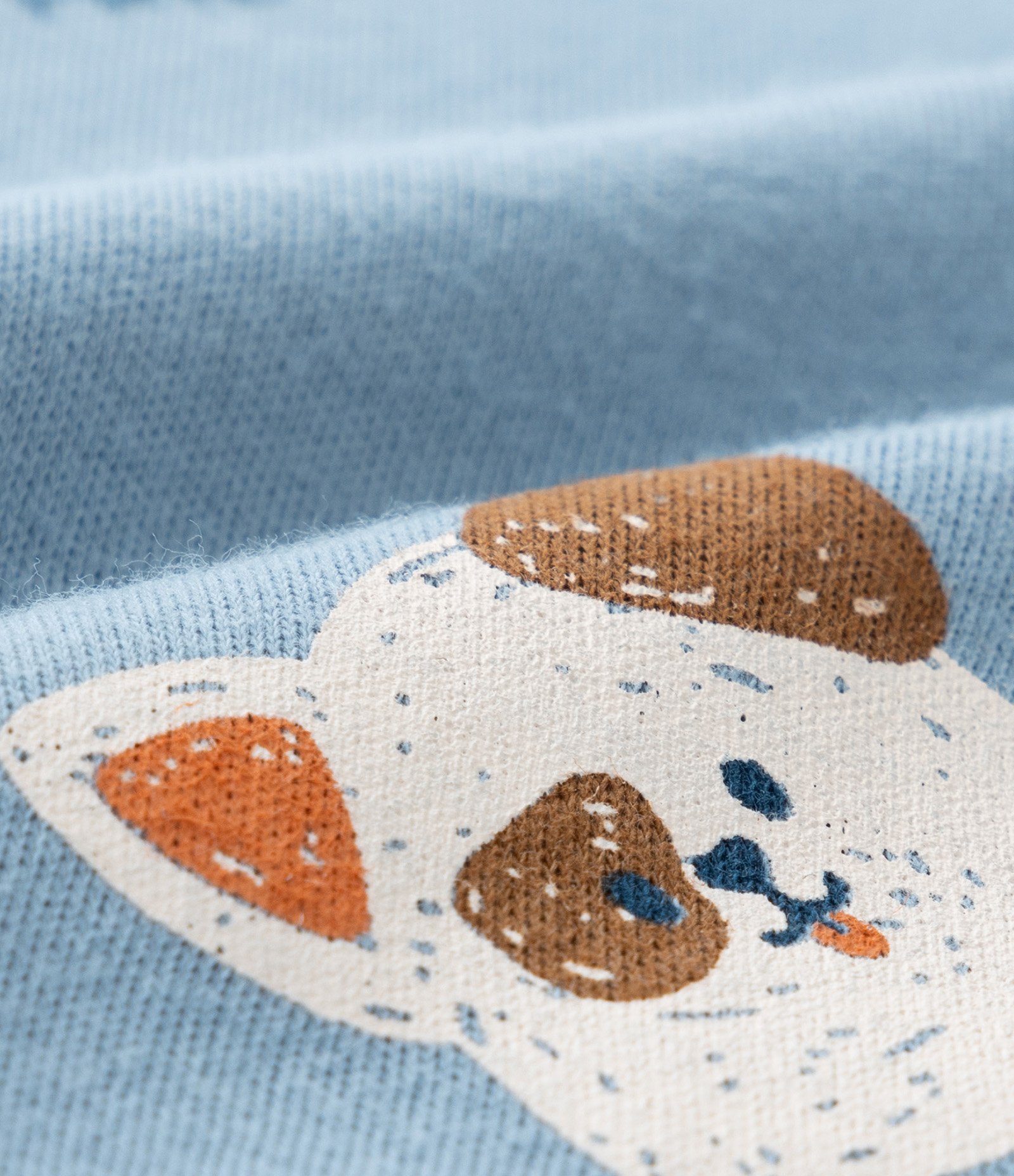 Conjunto Infantil em Suedine com Estampa Cachorrinho - Tam RN a 18 meses Azul 9