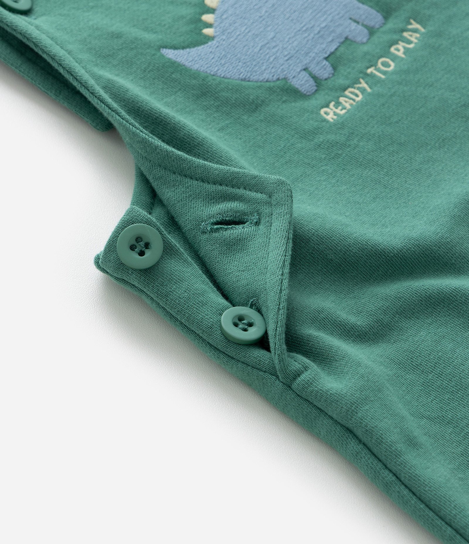 Conjunto Infantil com Estampa Dinossauro - Tam 0 a 18 meses Verde/Branco 9