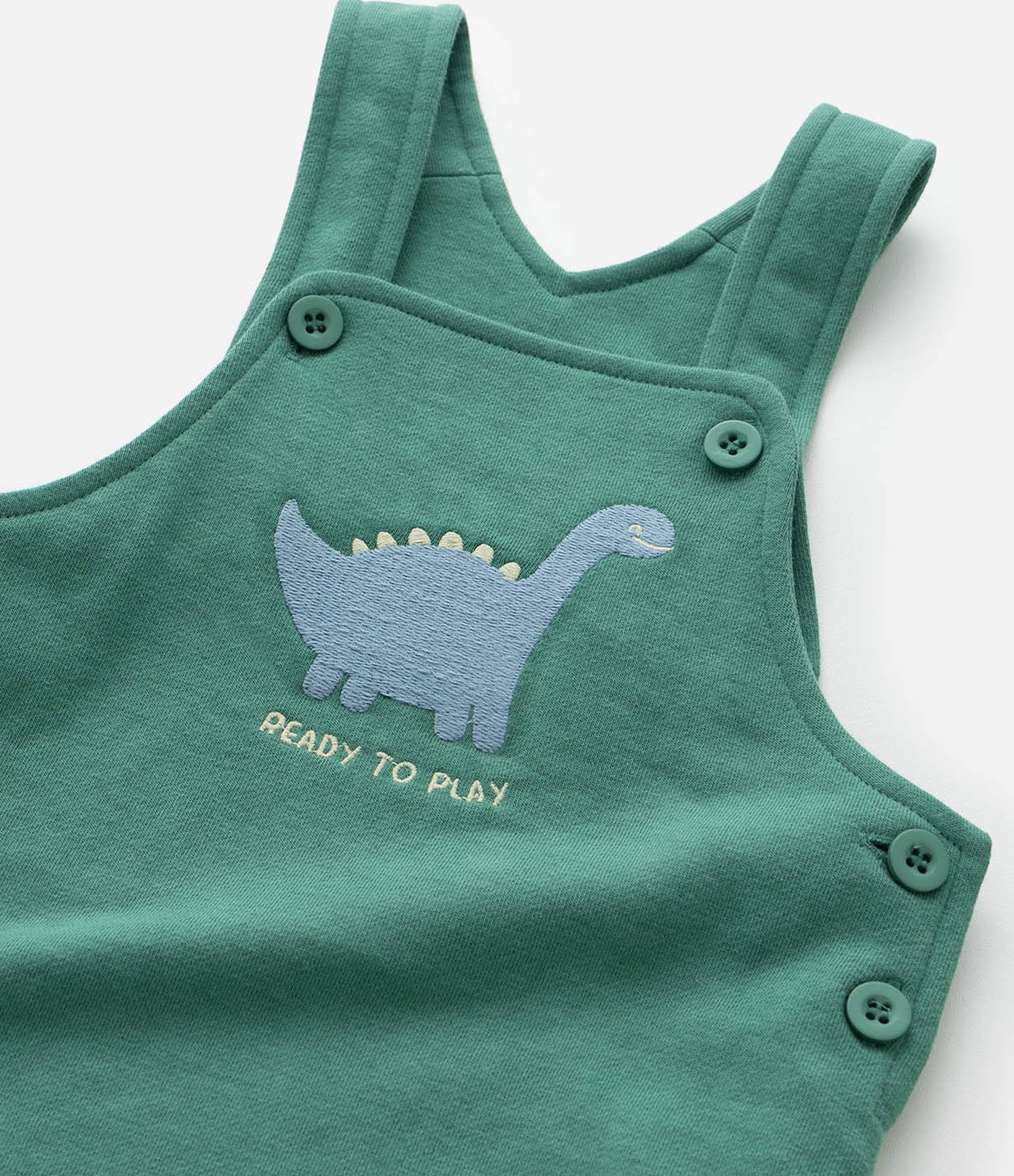 Conjunto Infantil com Estampa Dinossauro - Tam 0 a 18 meses Verde/Branco 12