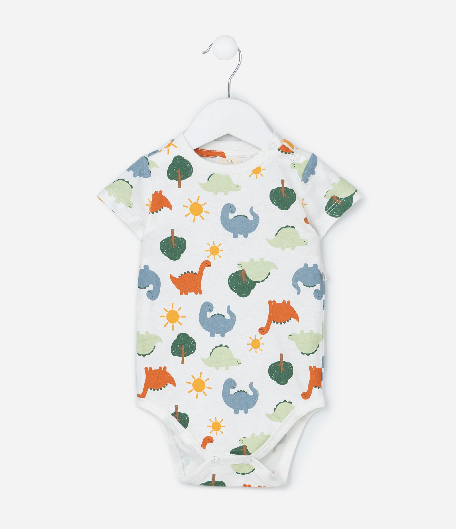 Conjunto Infantil com Estampa Dinossauro - Tam 0 a 18 meses Verde/Branco 4