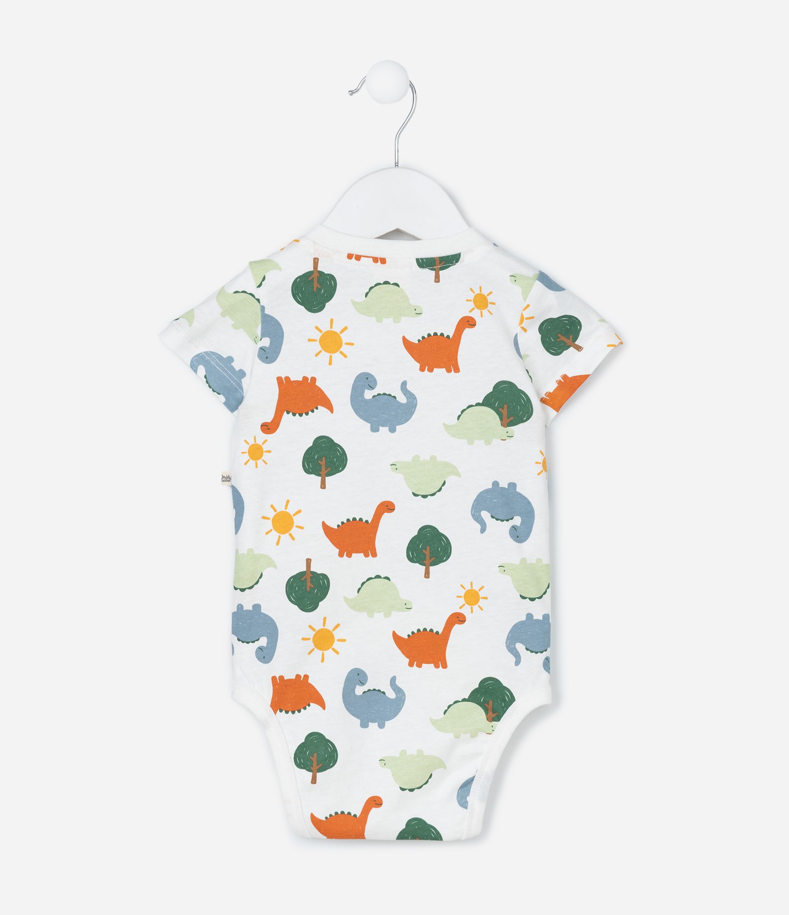 Conjunto Infantil com Estampa Dinossauro - Tam 0 a 18 meses Verde/Branco 5