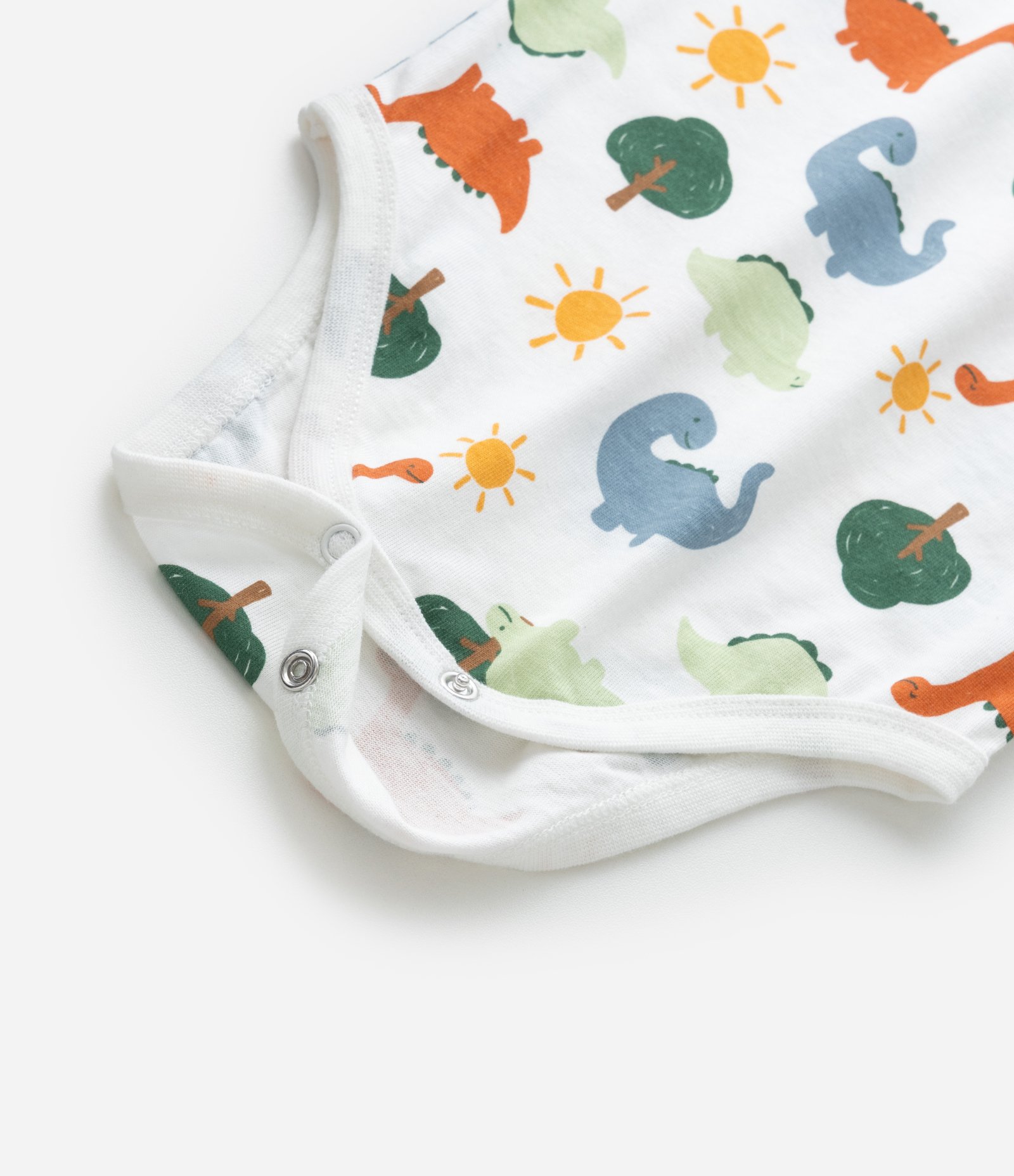 Conjunto Infantil com Estampa Dinossauro - Tam 0 a 18 meses Verde/Branco 6