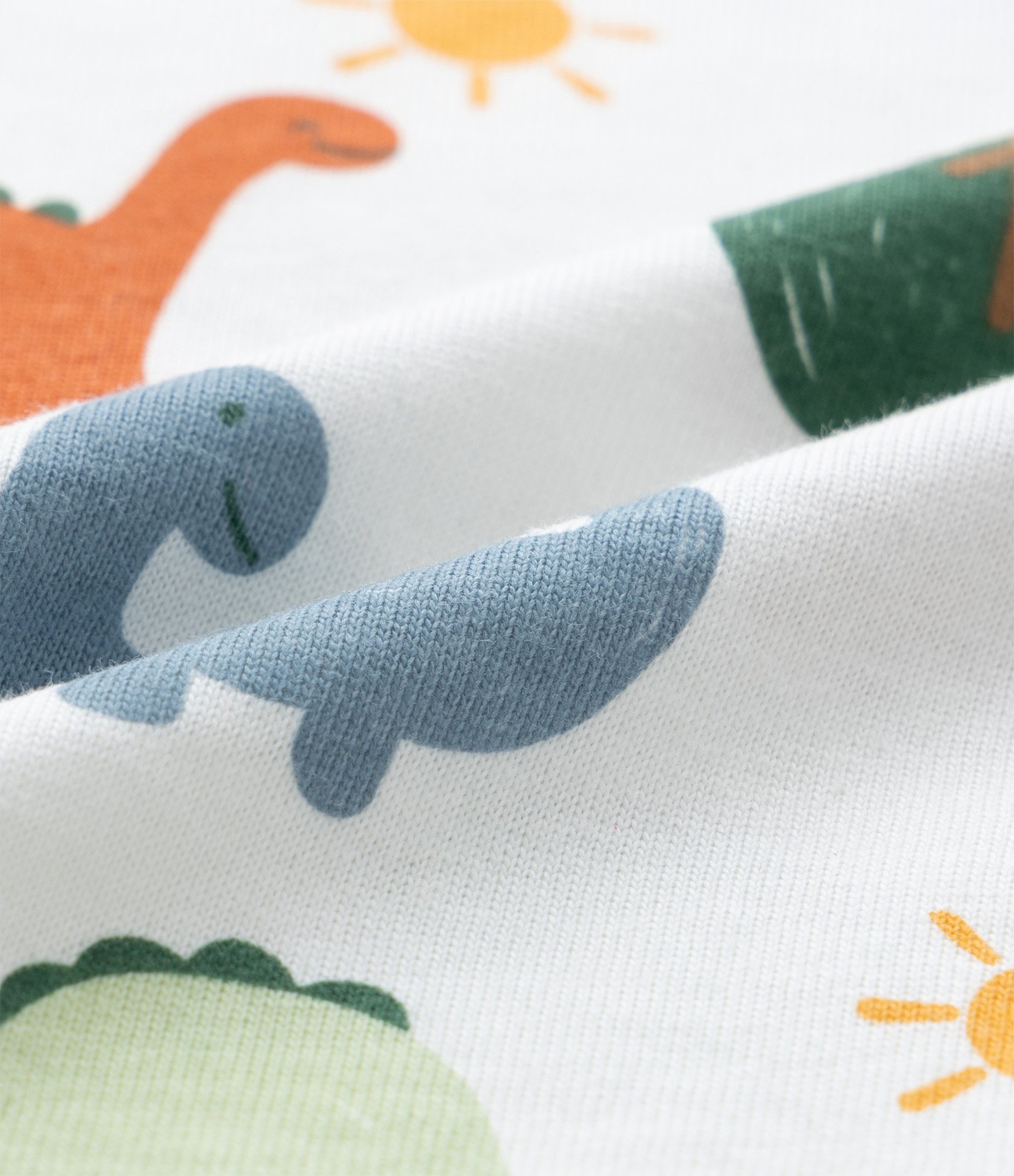 Conjunto Infantil com Estampa Dinossauro - Tam 0 a 18 meses Verde/Branco 8