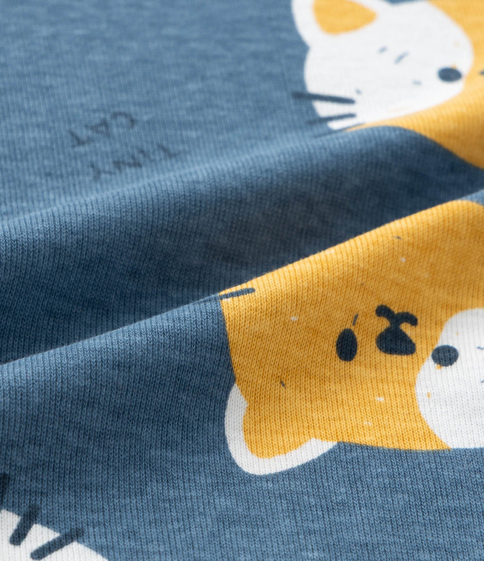 Body Infantil com Estampa Cara de Gatinho - Tam RN a 18 meses Azul 4