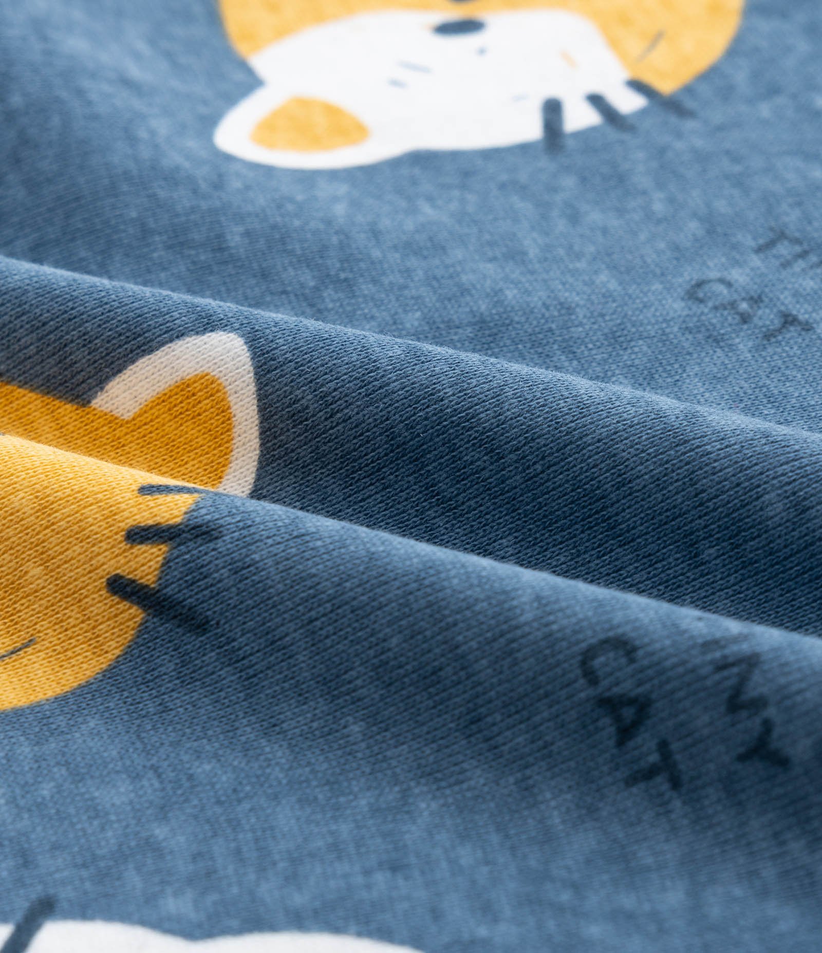 Body Infantil com Estampa Cara de Gatinho - Tam RN a 18 meses Azul 4