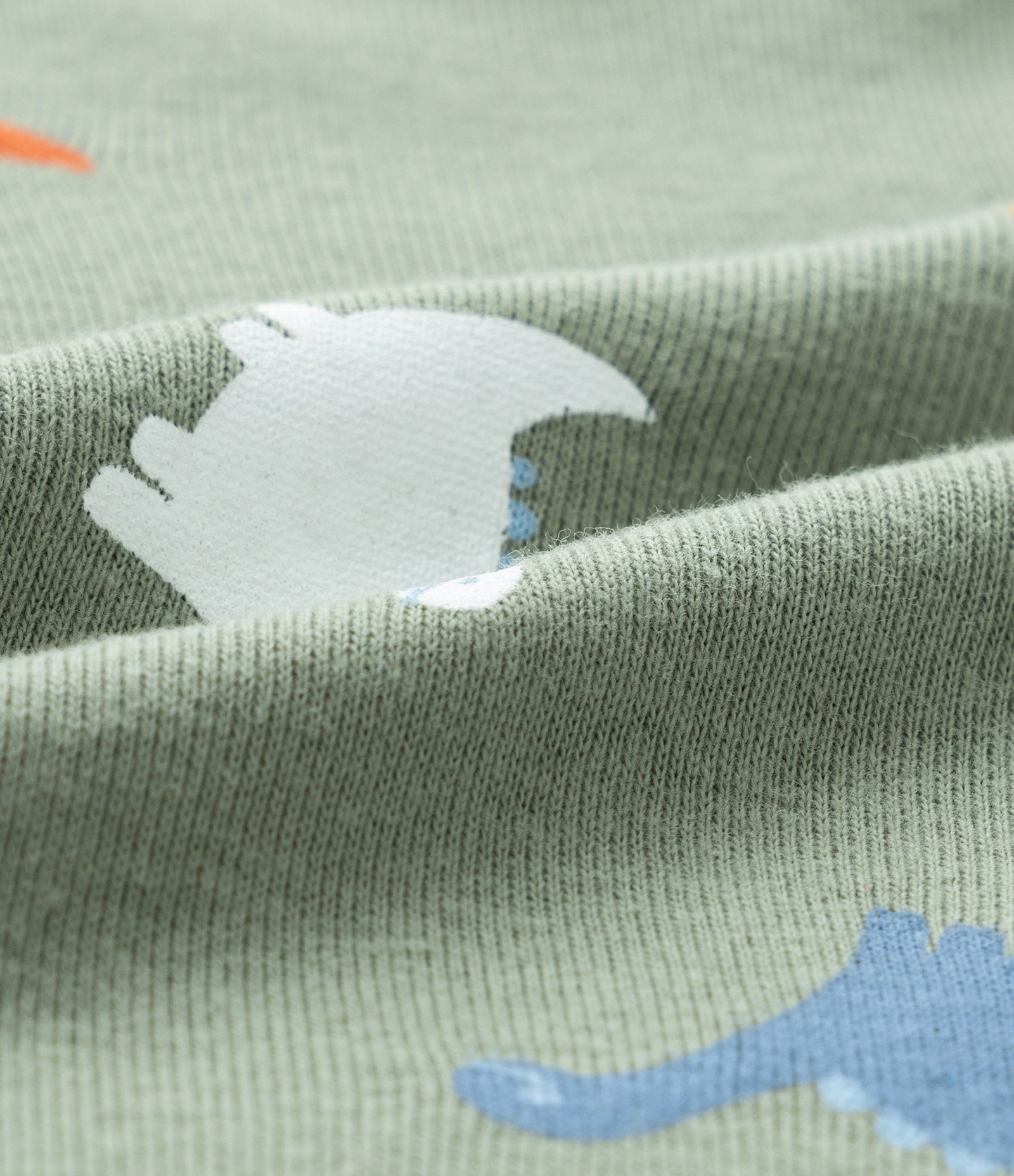 Body Infantil com Estampa de Dinossauro - Tam RN a 18 meses Verde 4