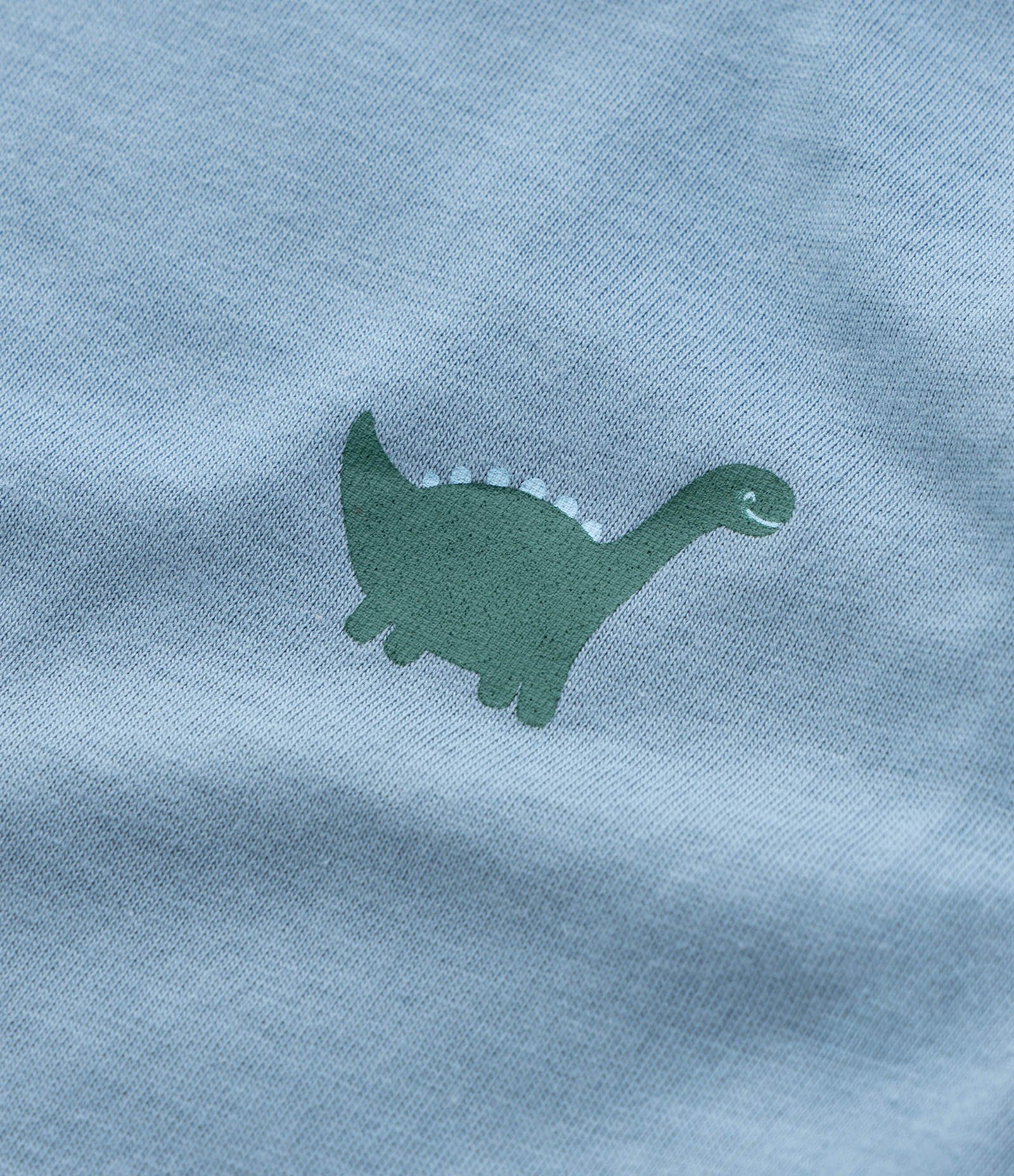 Conjunto Infantil com Estampa de Dinos - Tam 3 a 18 meses Azul/Verde 10