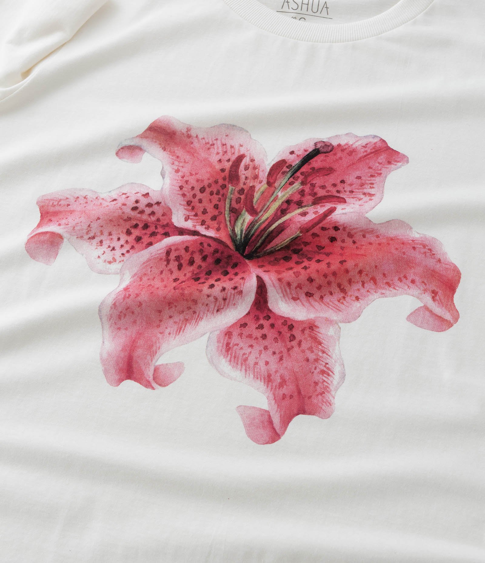 Camiseta T-shirt com Estampa de Flor Curve & Plus Size Branco 7
