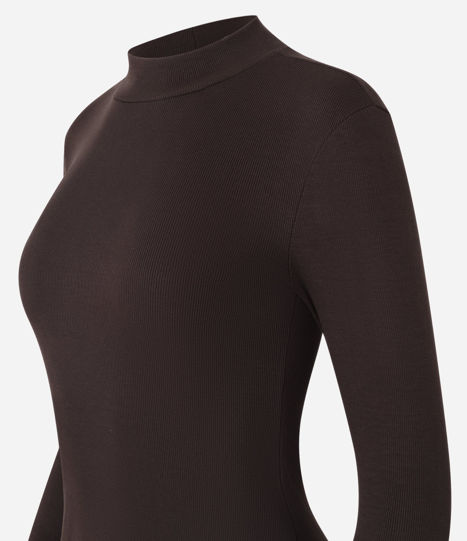 Blusa em Ribana com Gola Alta e Manga Longa Marrom 7