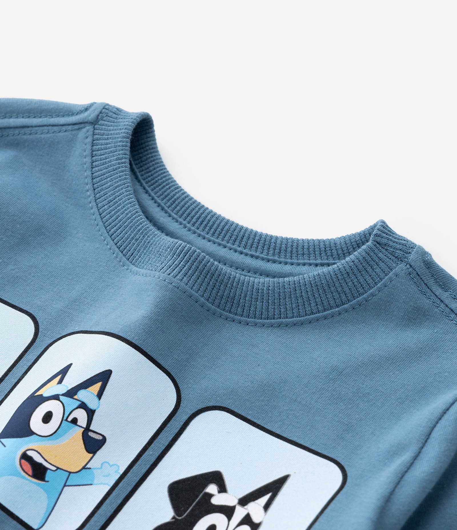 Camiseta Infantil com Estampa Bluey - Tam 2 a 6 Anos Azul 5