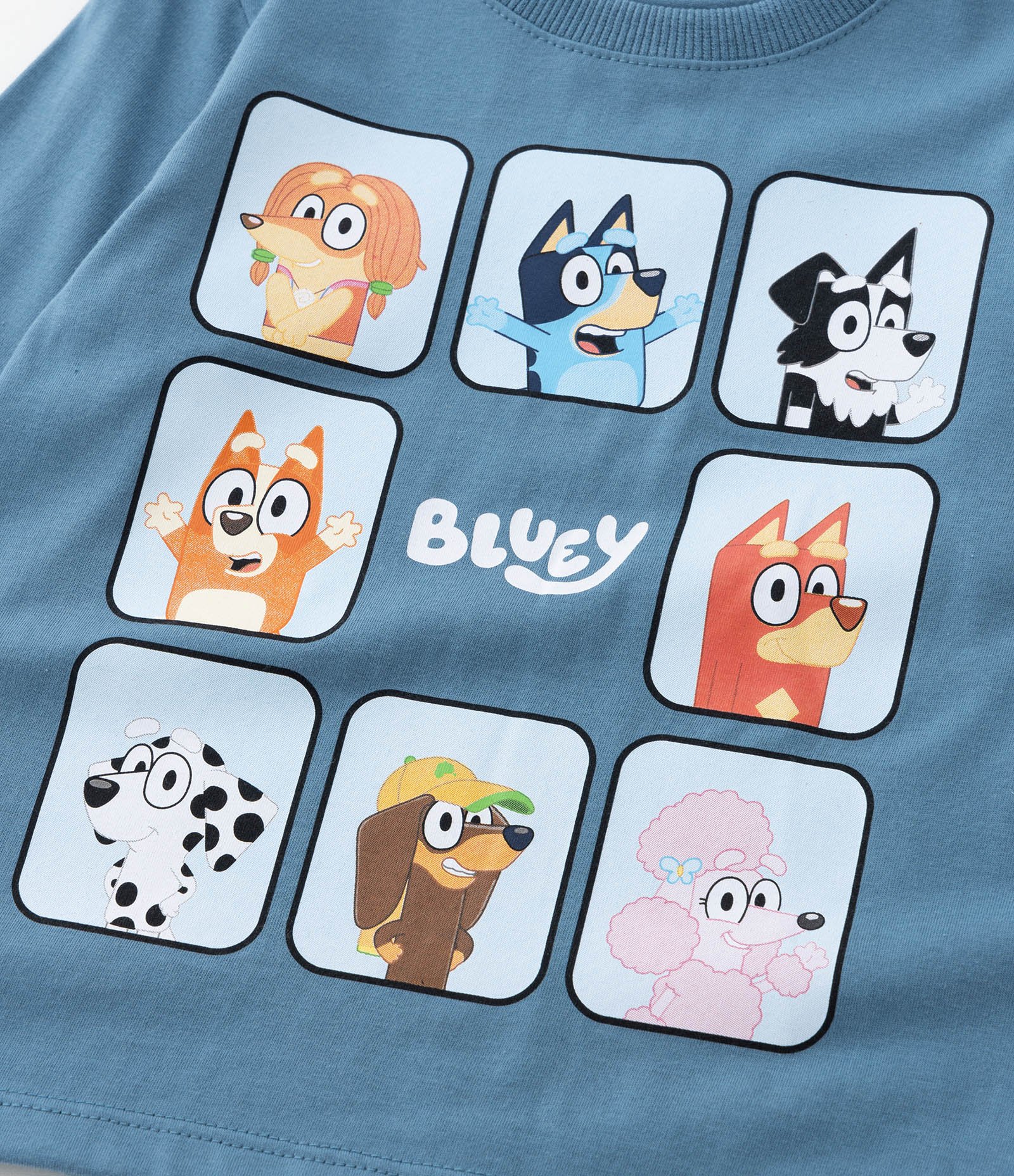 Camiseta Infantil com Estampa Bluey - Tam 2 a 6 Anos Azul 6