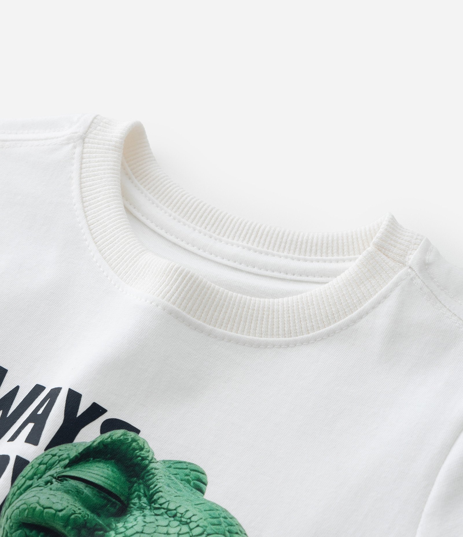 Camiseta Infantil com Estampa Dino 3D - Tam 1 a 6 Anos Branco 4
