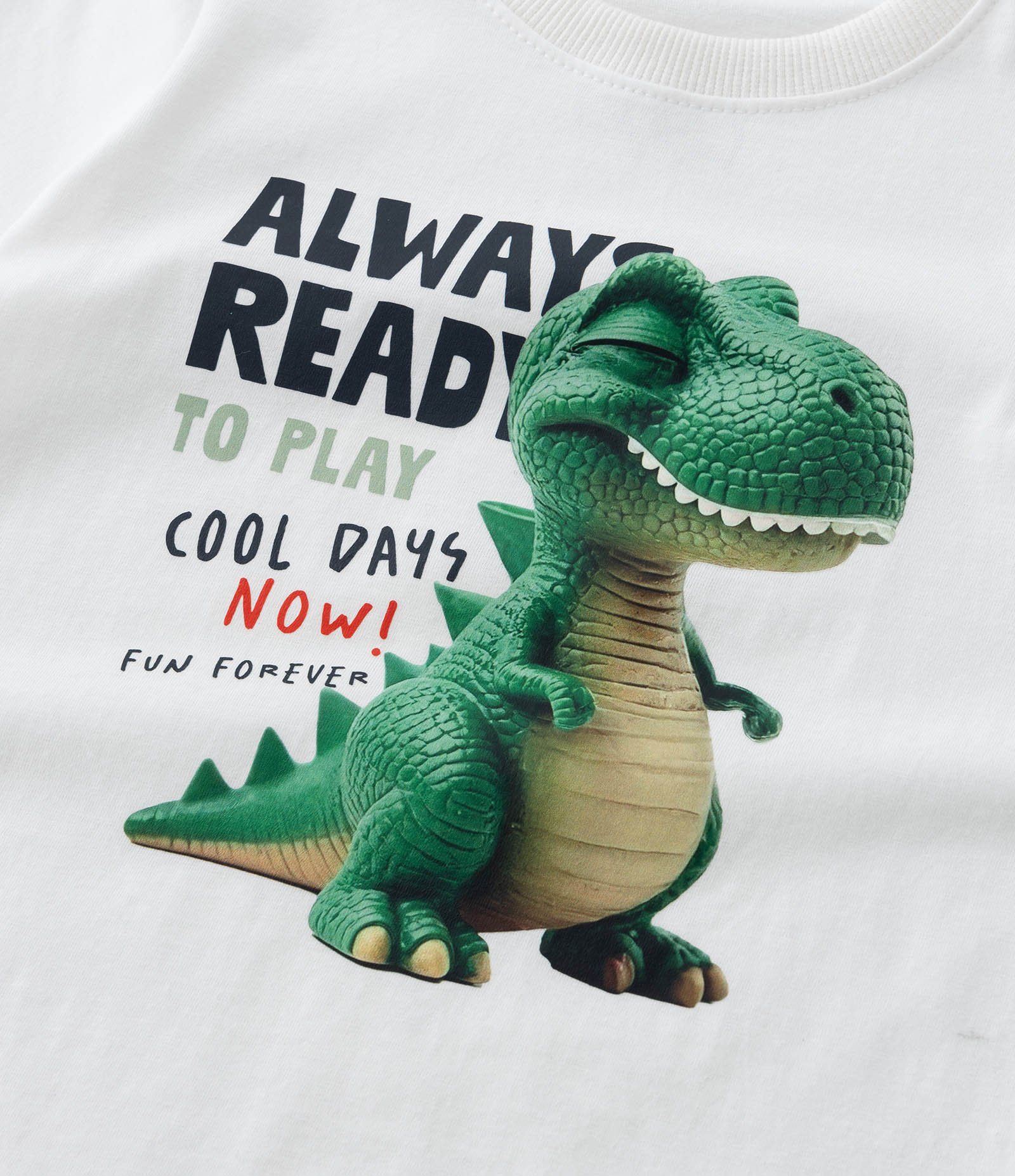 Camiseta Infantil com Estampa Dino 3D - Tam 1 a 6 Anos Branco 5