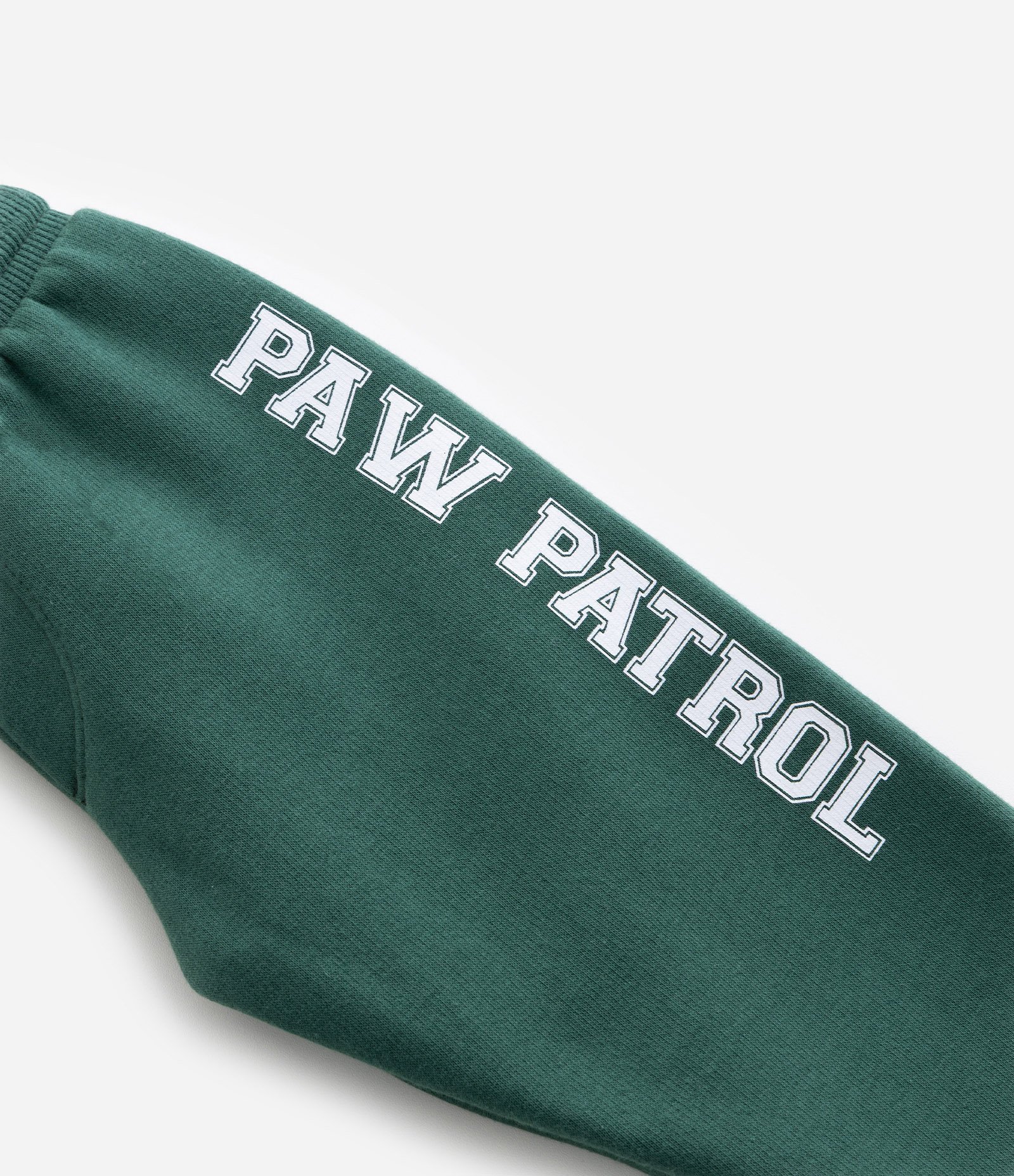 Calça Infantil Quentinha com Estampa Chase Patrulha Canina - Tam 2 a 6 Anos Verde 7