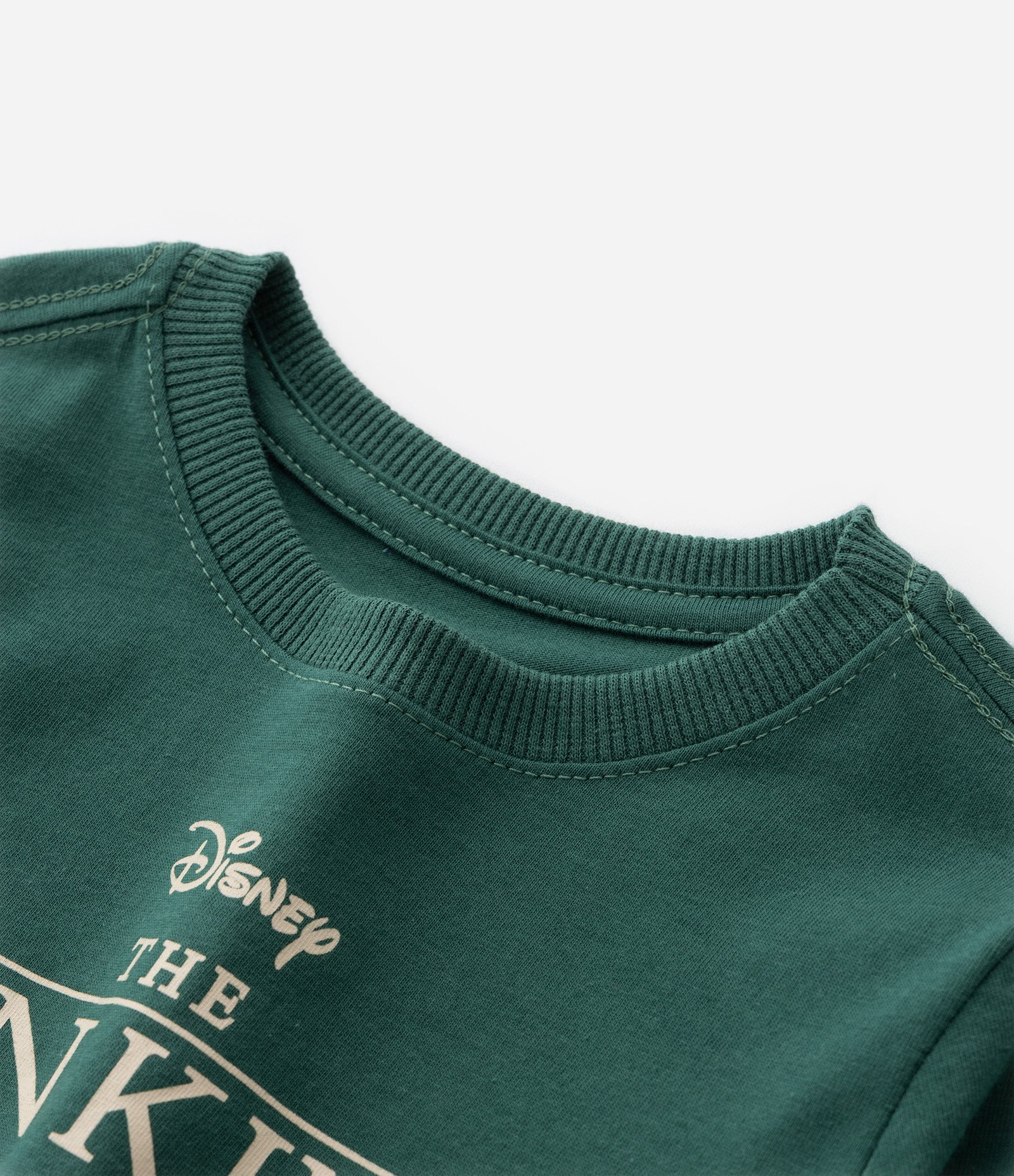 Camiseta Infantil com Estampa Rei Leão - Tam 1 a 6 Anos Verde 4